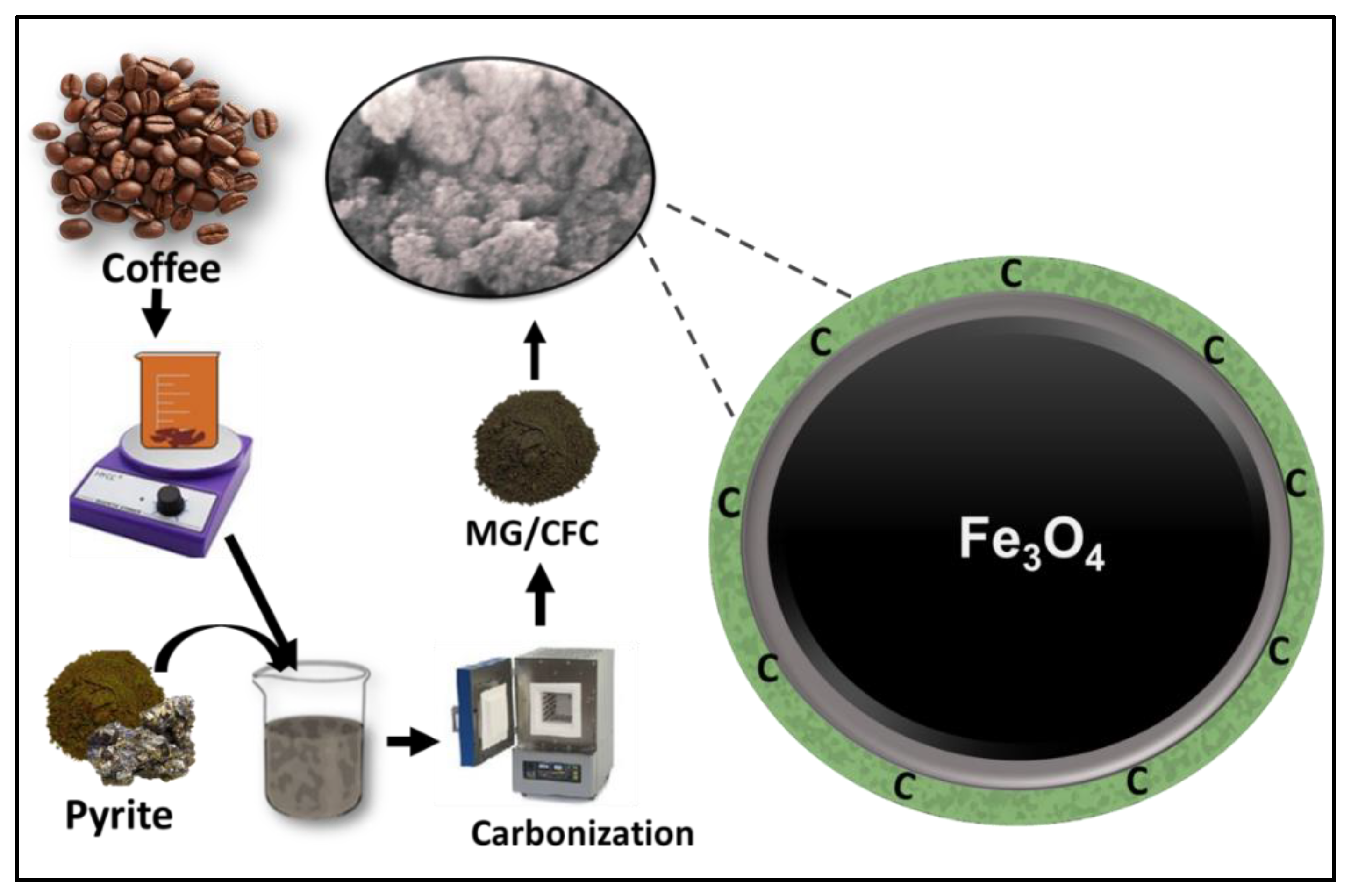 Catalysts 13 00264 g010