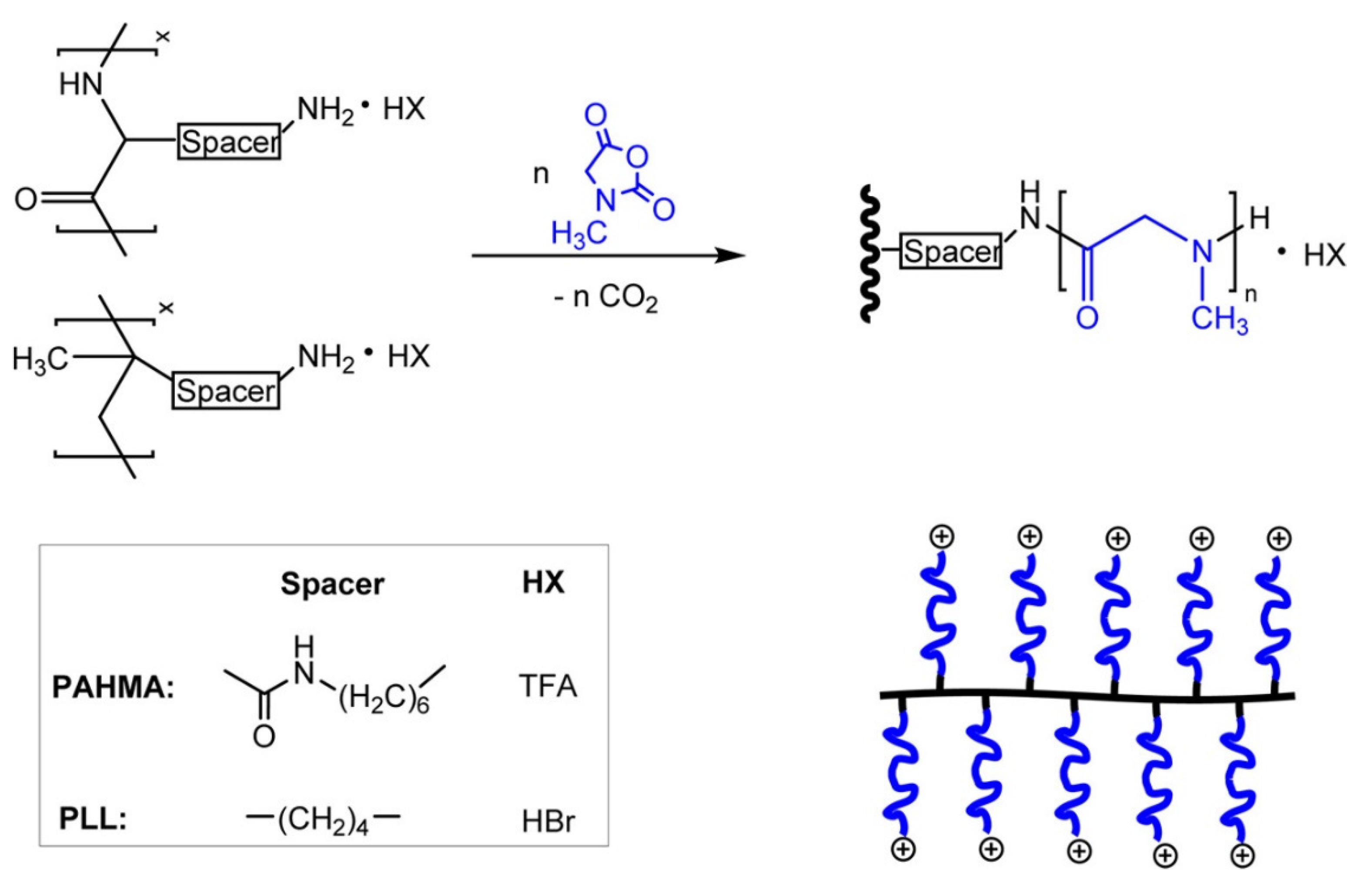 Catalysts 13 00280 g011 Catalysts 13 00280 g011
