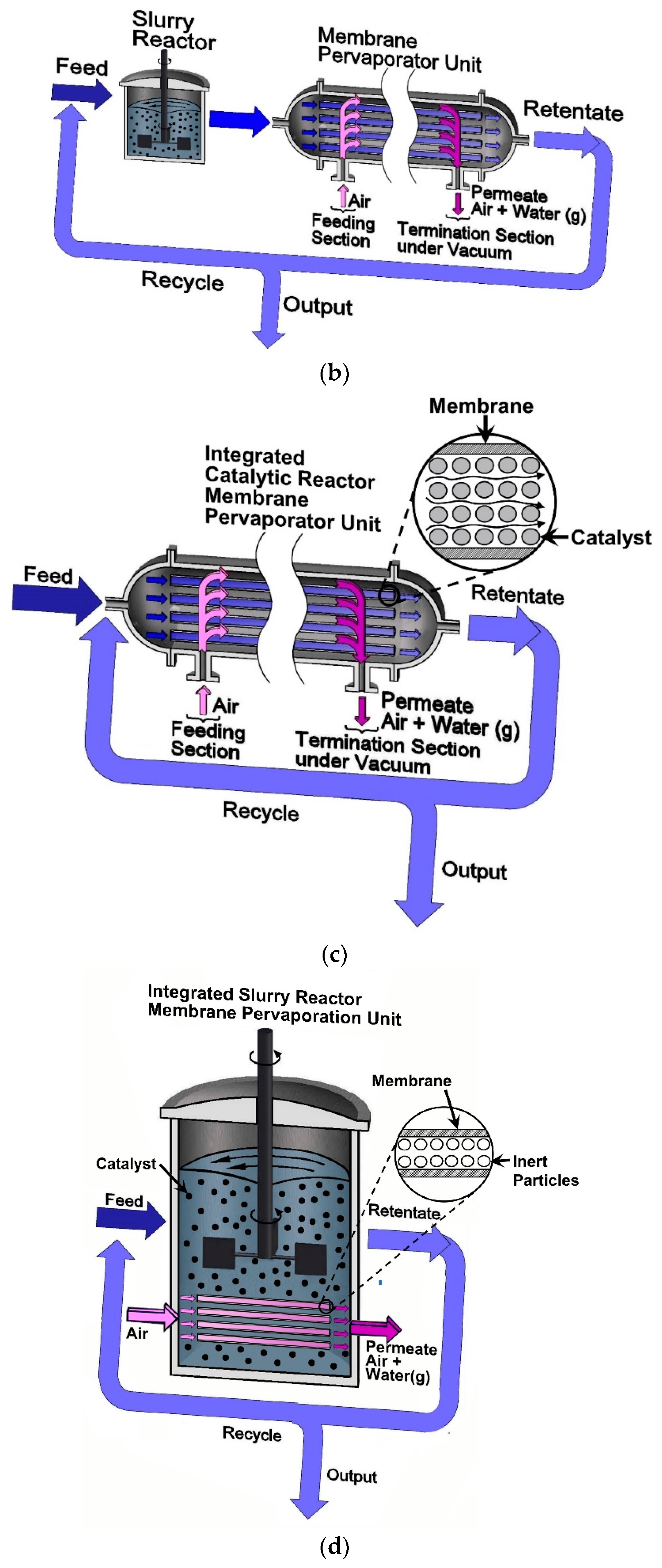 Catalysts 13 00284 g002b