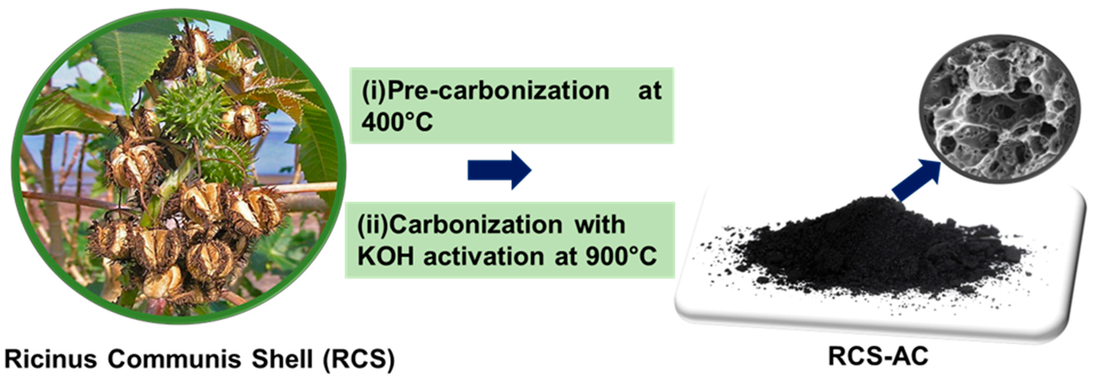 Catalysts 13 00286 sch001 Catalysts 13 00286 sch001