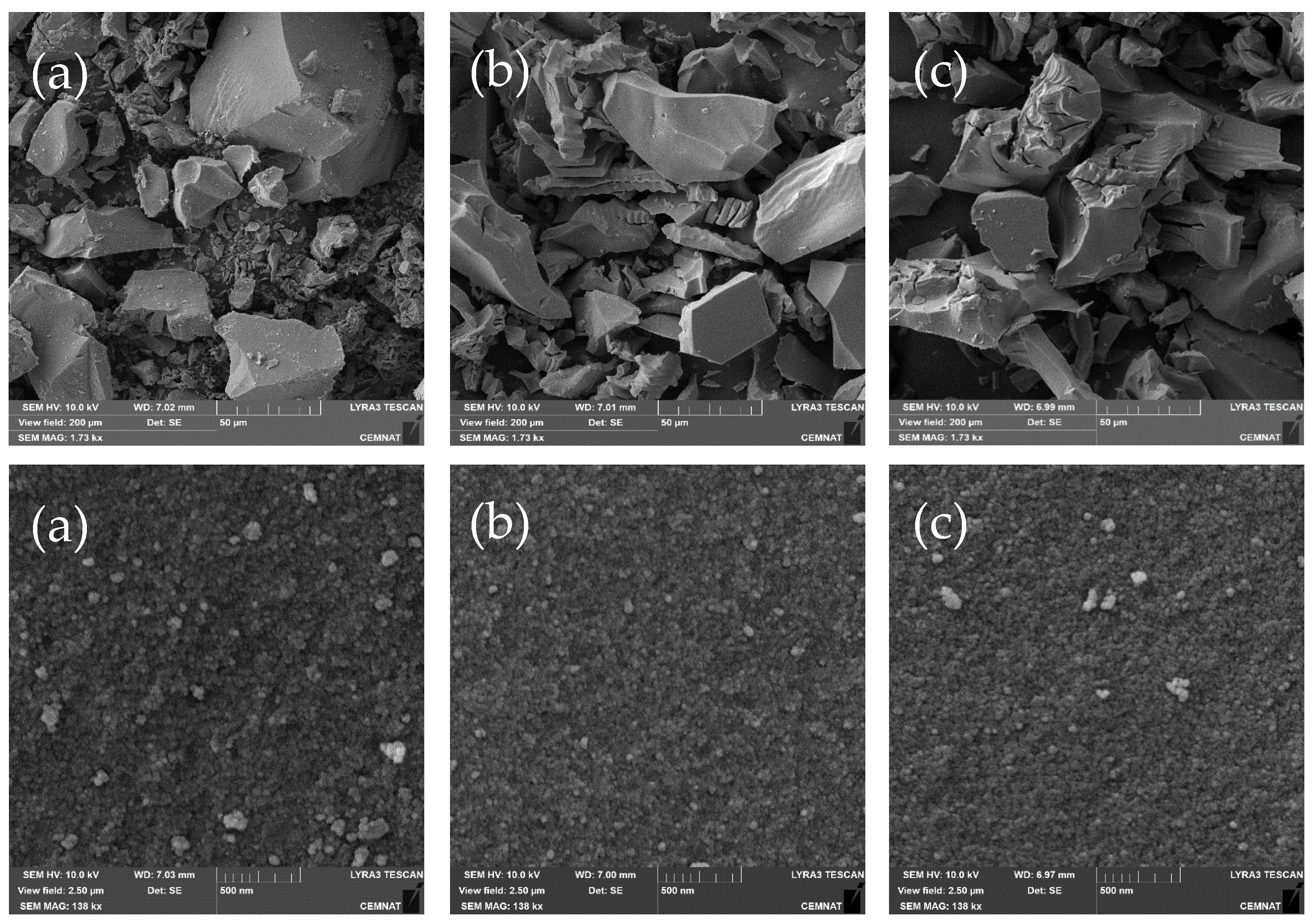 Catalysts 13 00293 g002