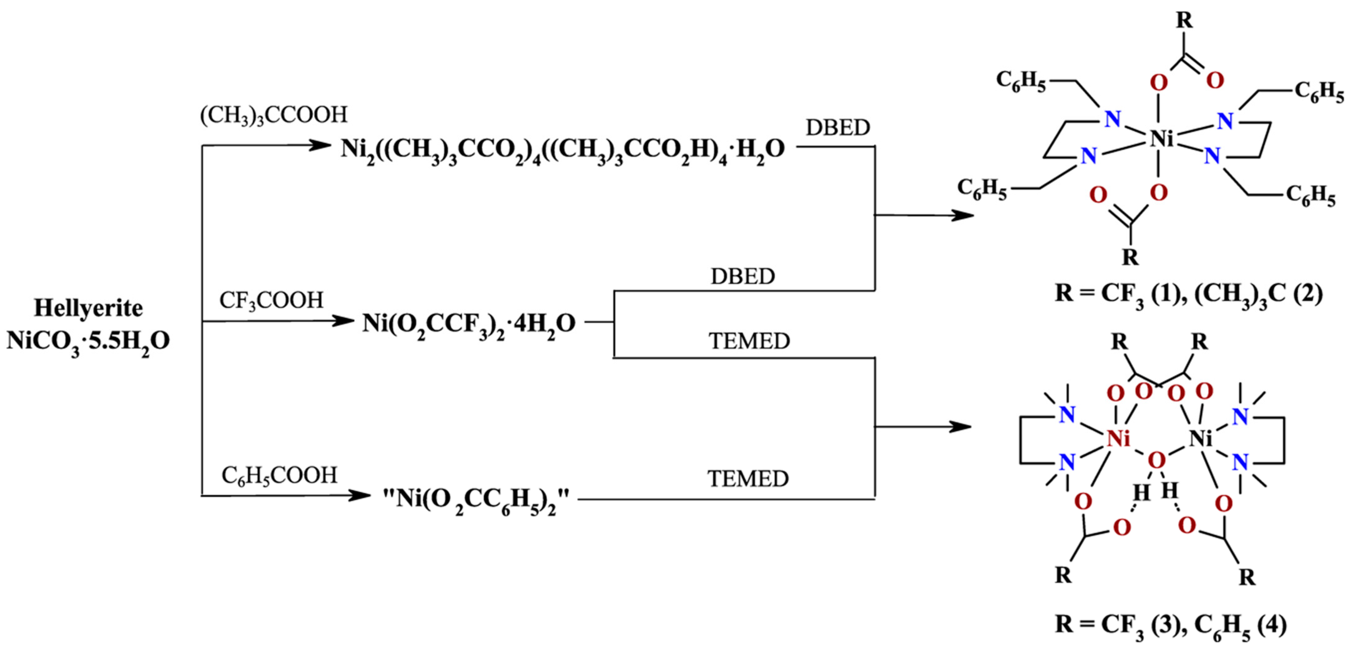 Catalysts 13 00304 g001 Catalysts 13 00304 g001