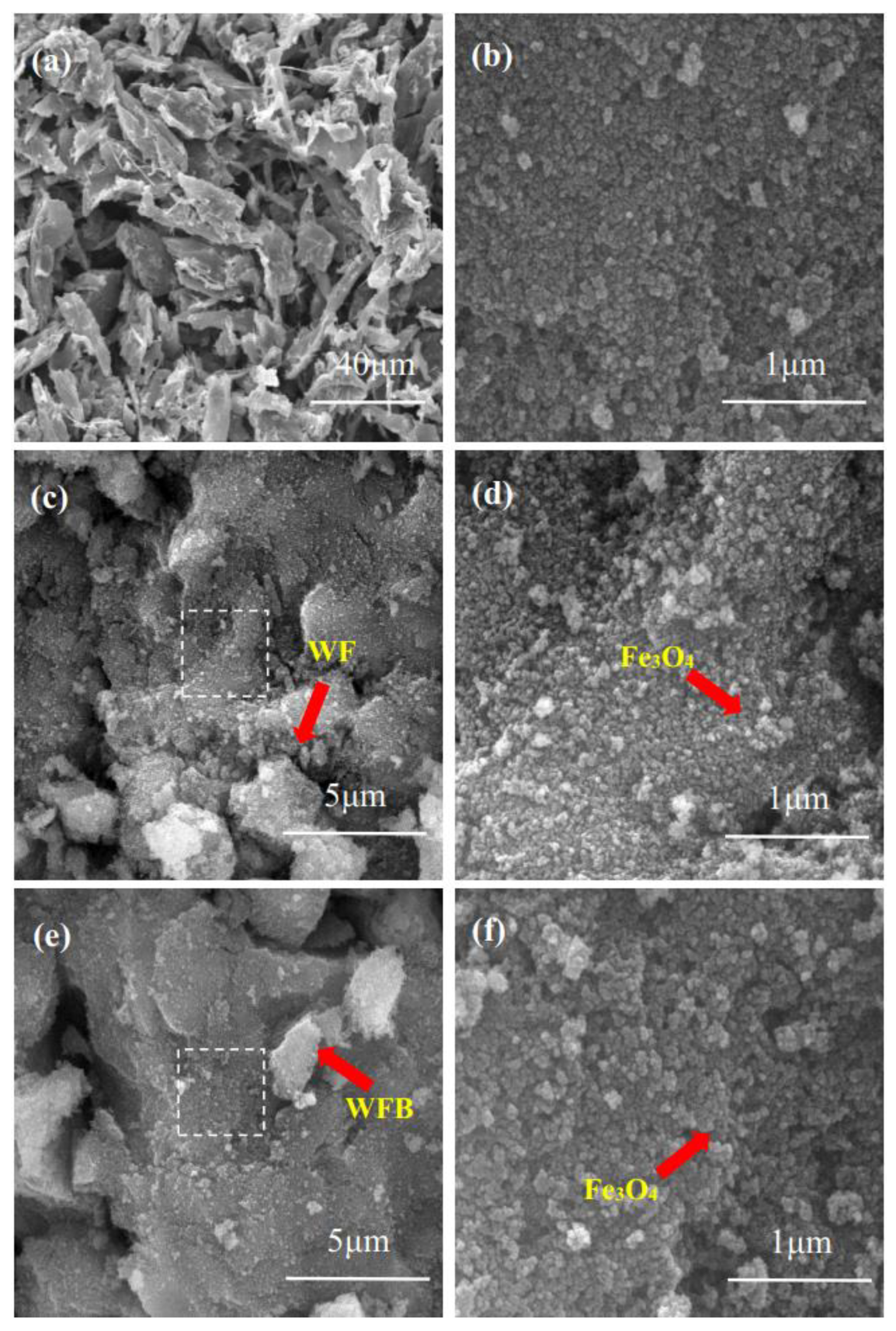 Catalysts 13 00323 g001