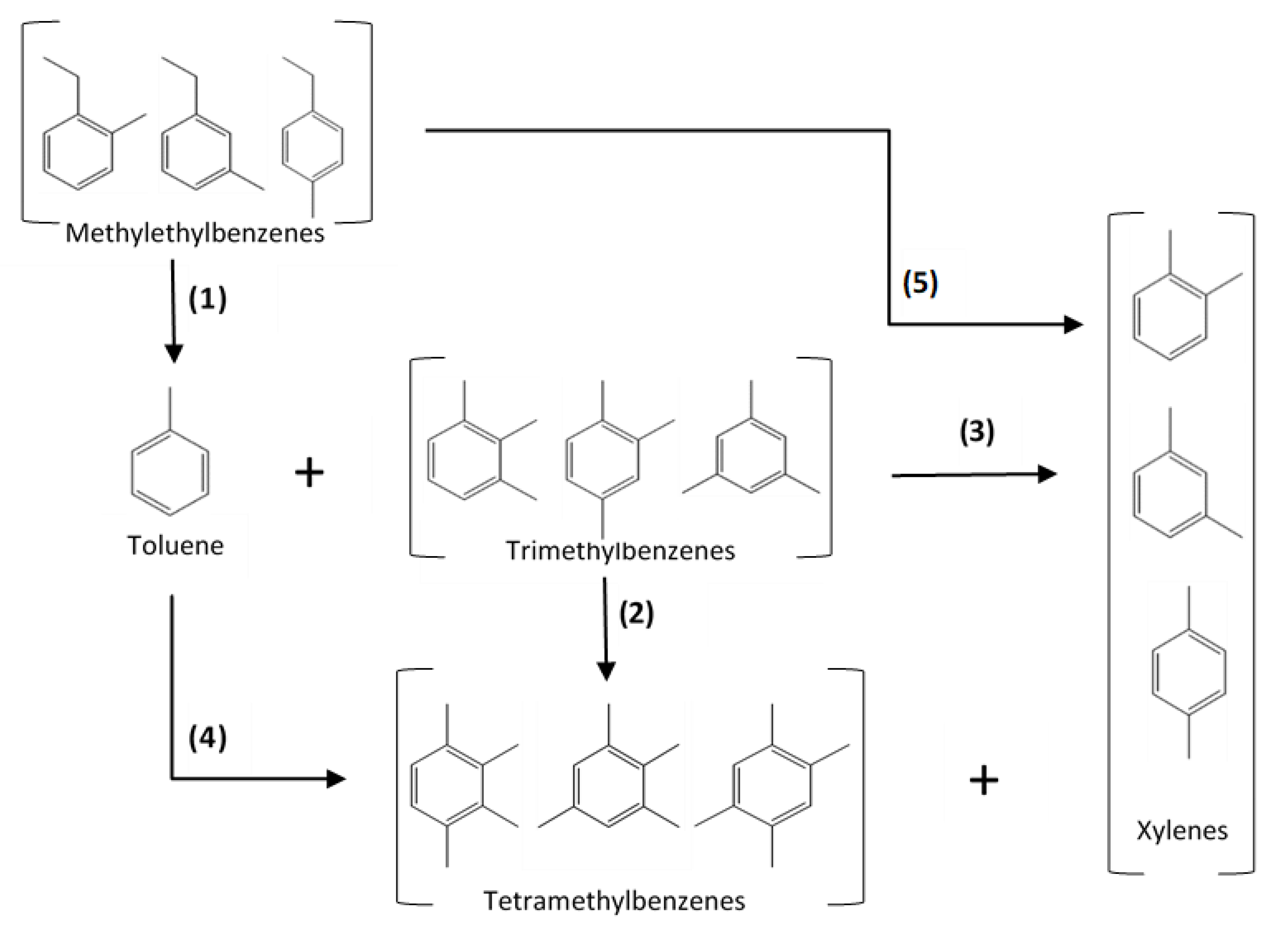 Catalysts 13 00335 g003