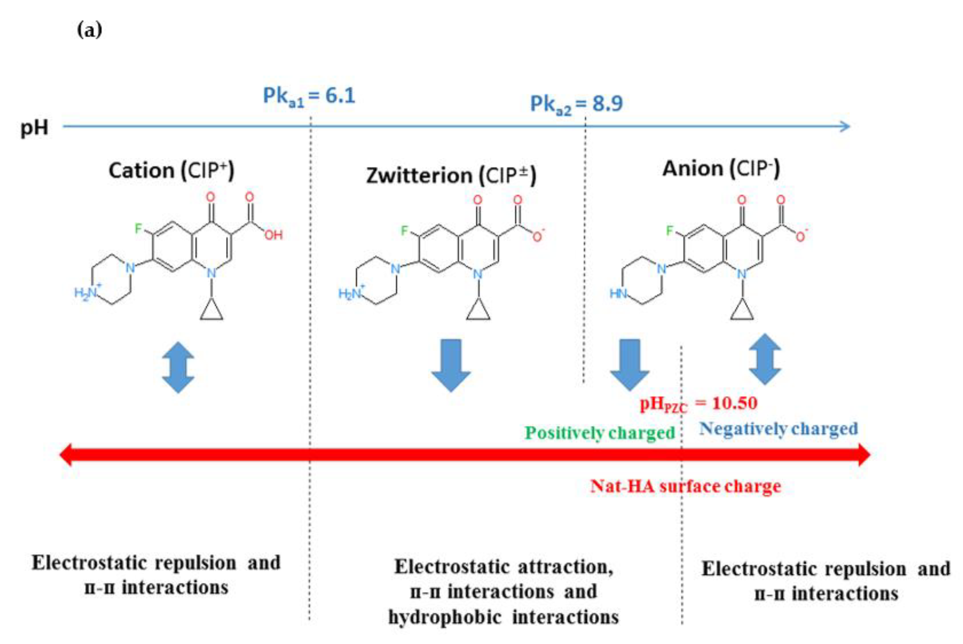 Catalysts 13 00336 g005a