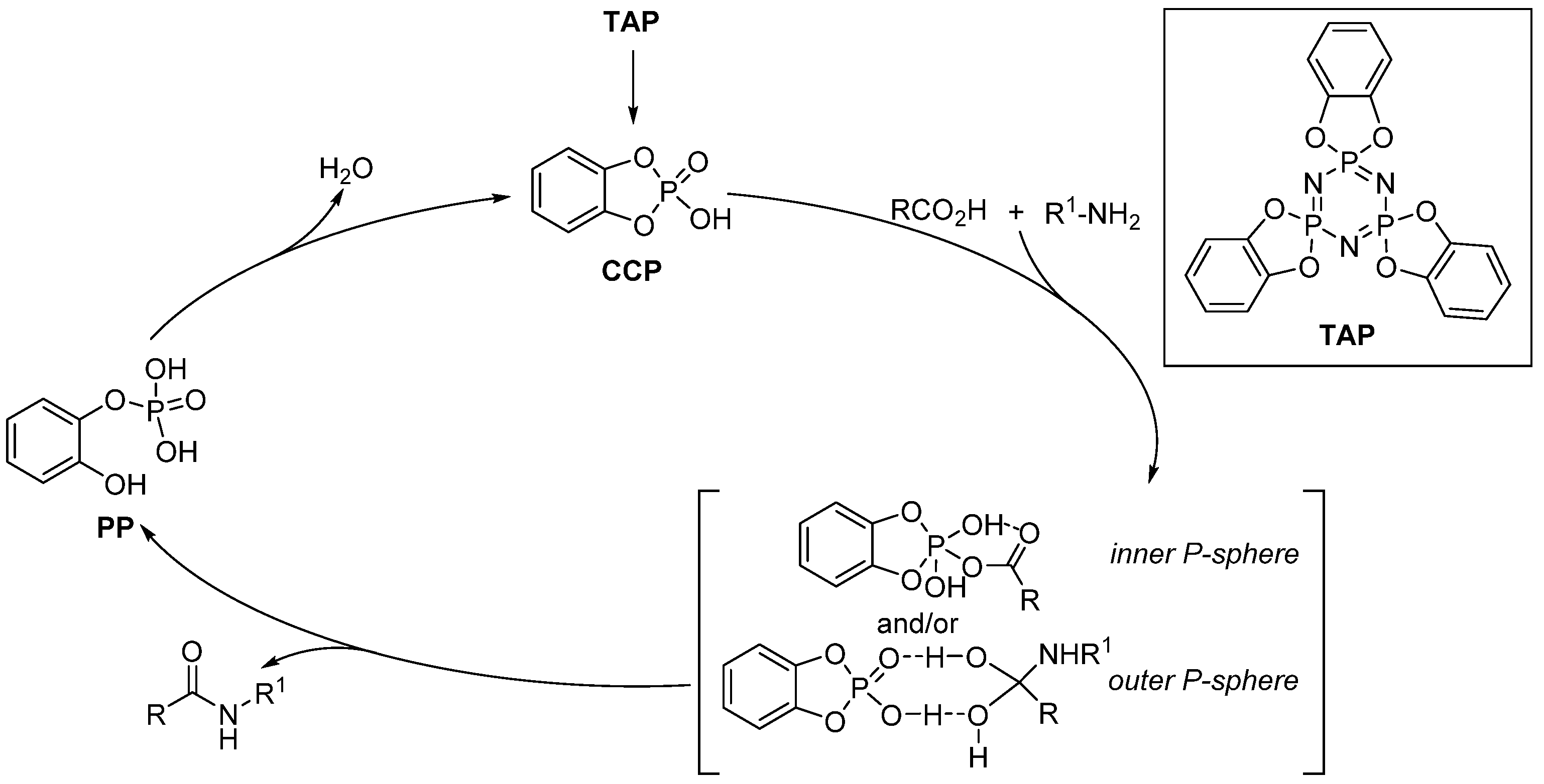 Catalysts 13 00366 sch015