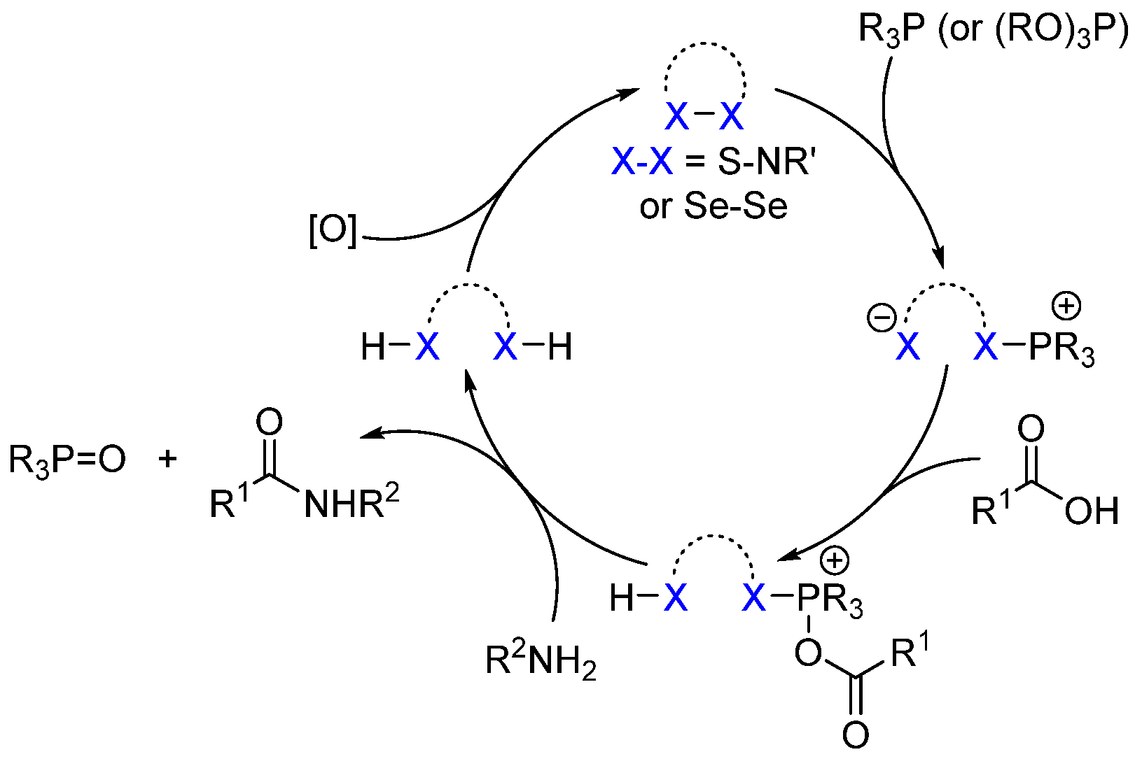 Catalysts 13 00366 sch017