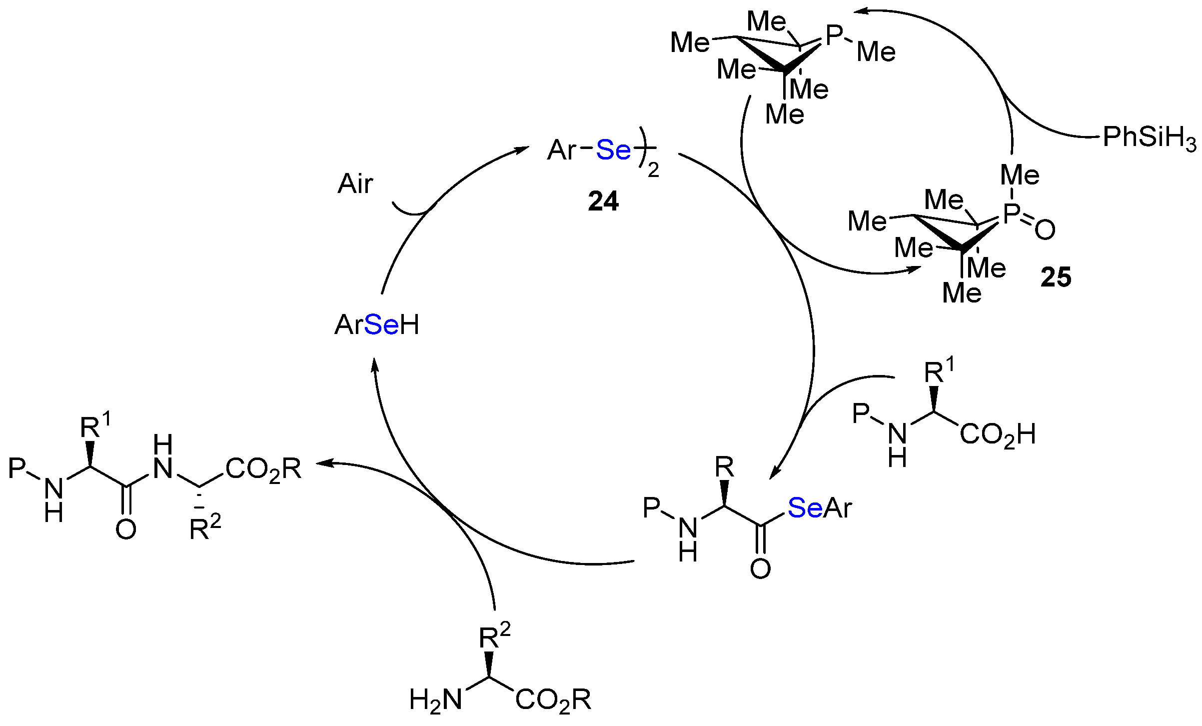Catalysts 13 00366 sch019