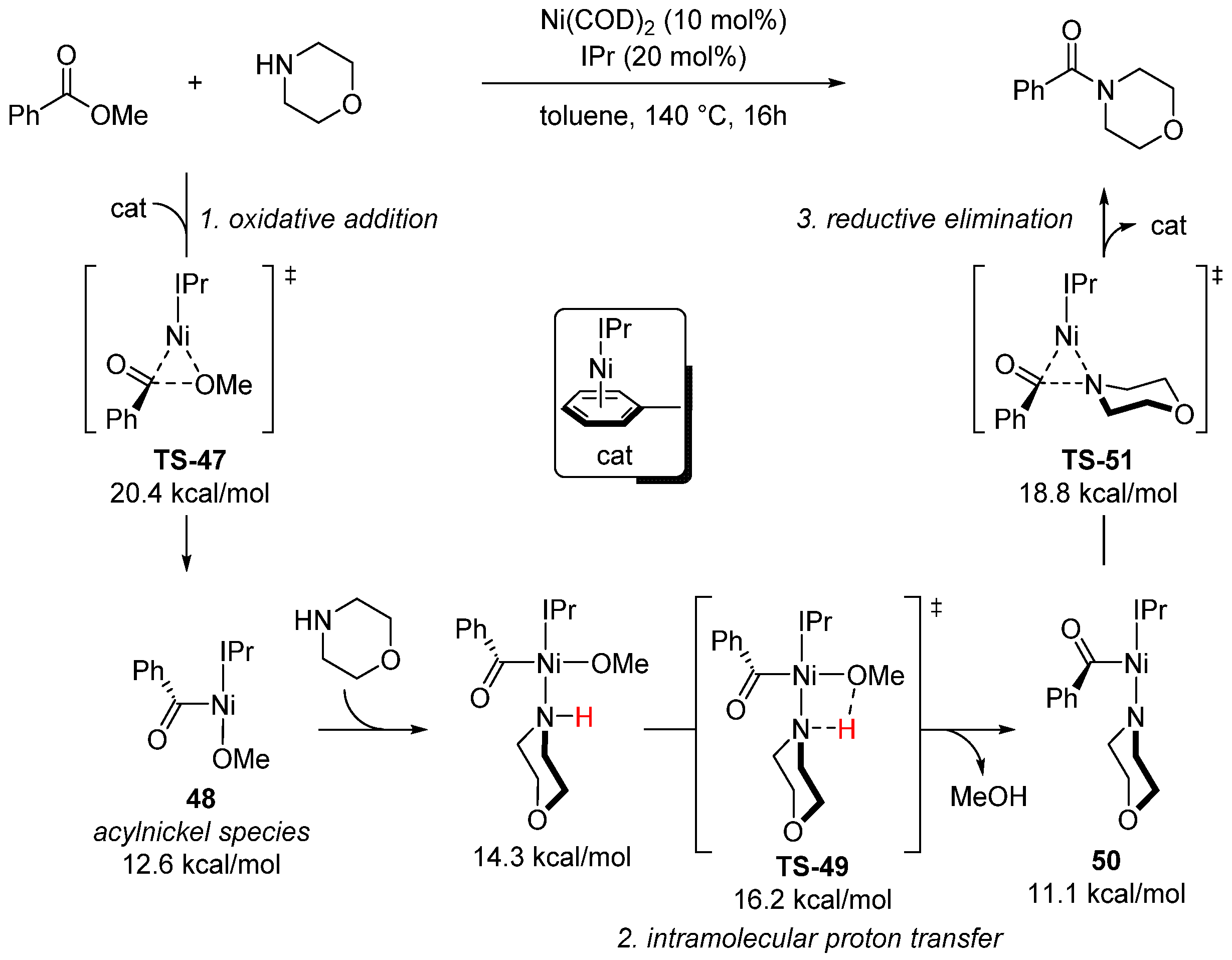 Catalysts 13 00366 sch034