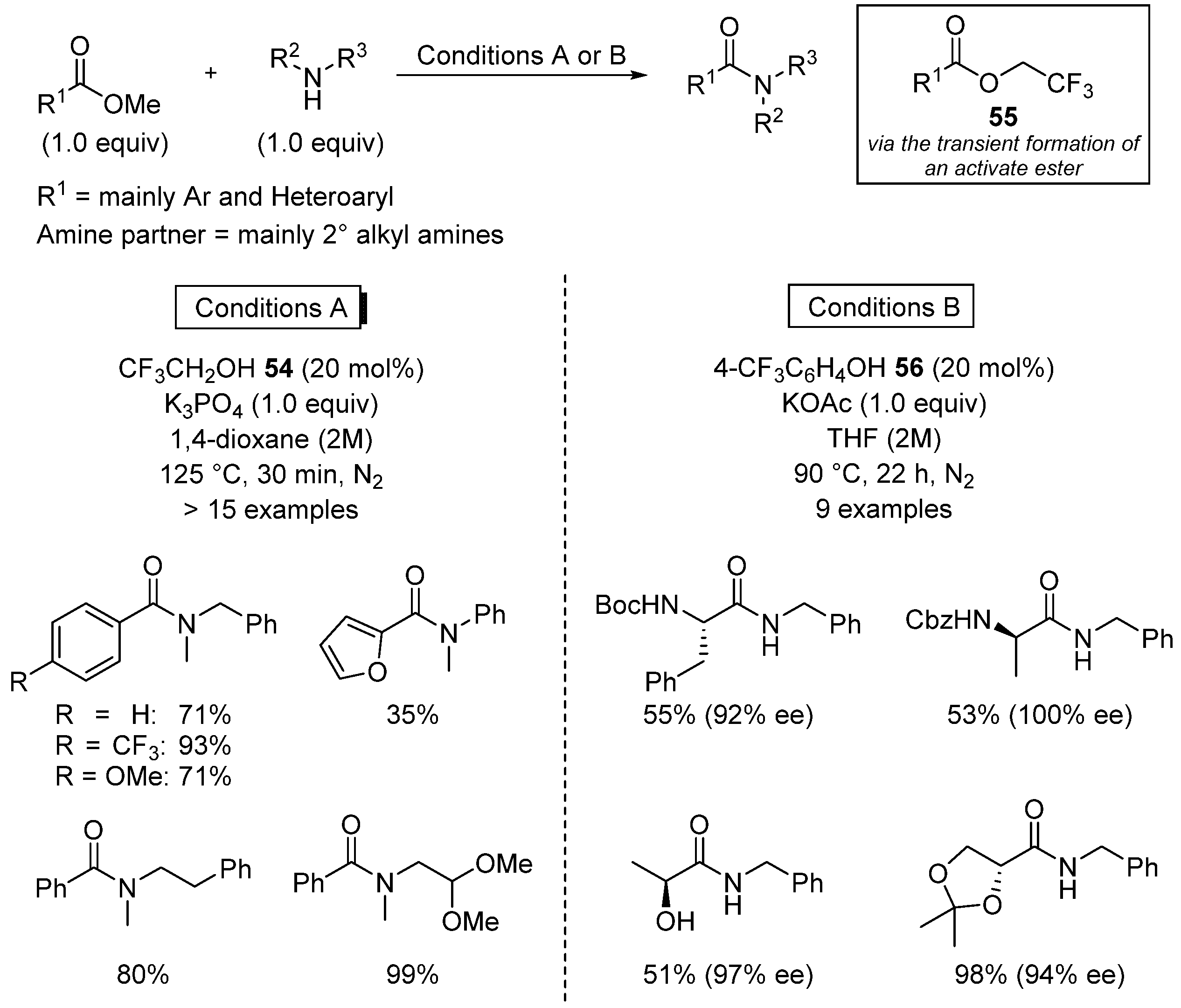 Catalysts 13 00366 sch039