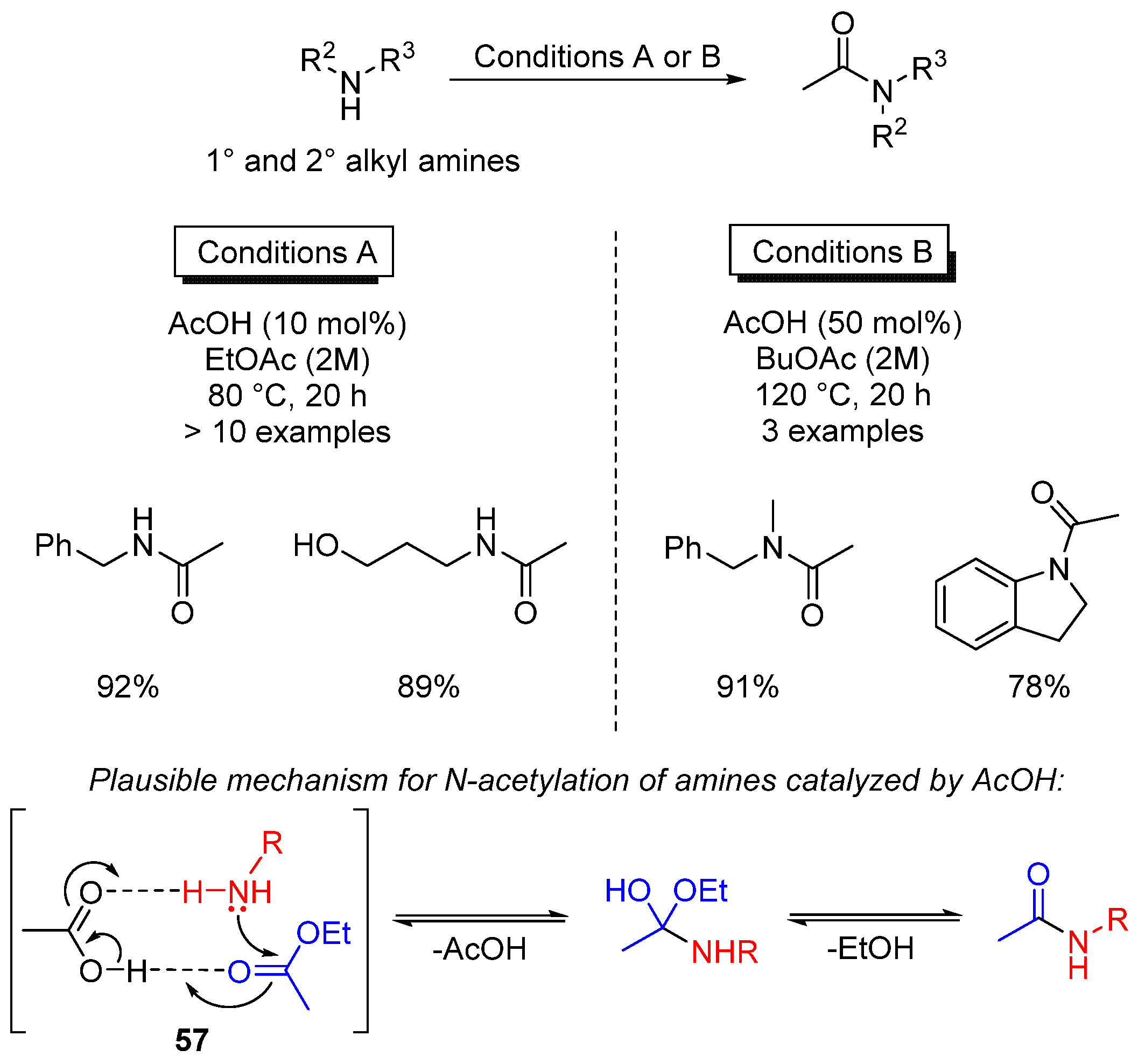Catalysts 13 00366 sch040