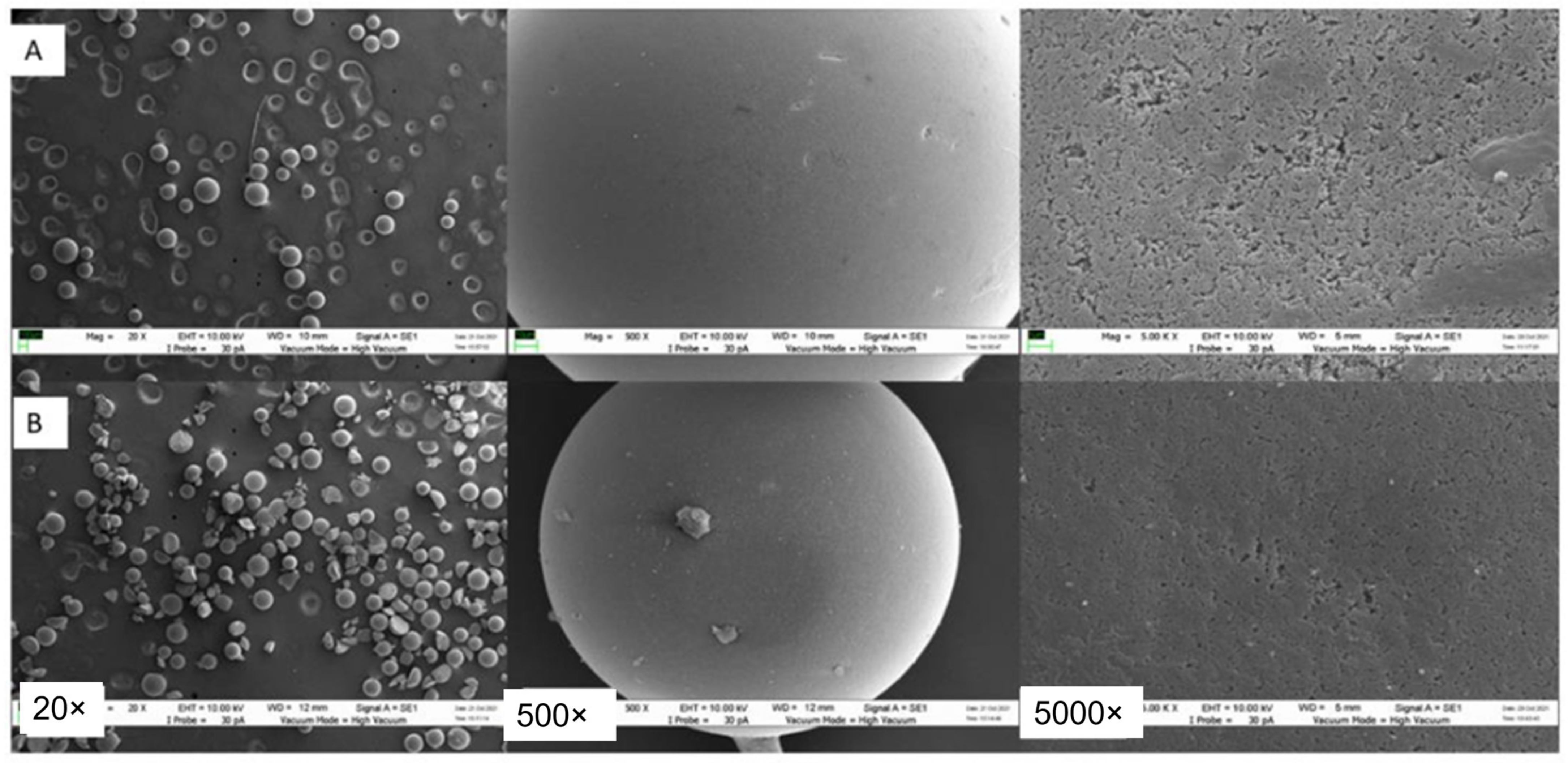 Catalysts 13 00368 g003 Catalysts 13 00368 g003