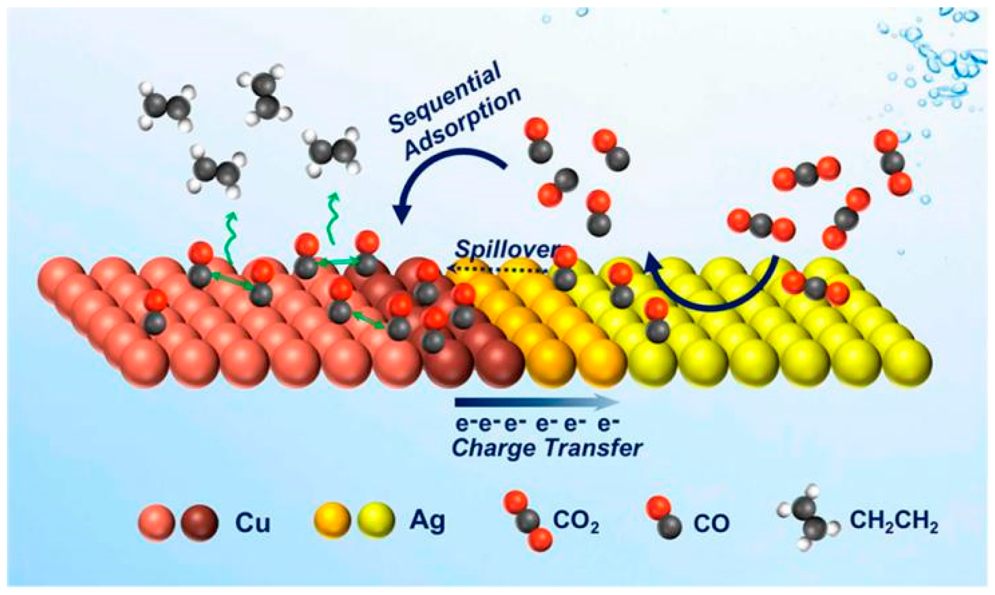 Catalysts 13 00376 g002