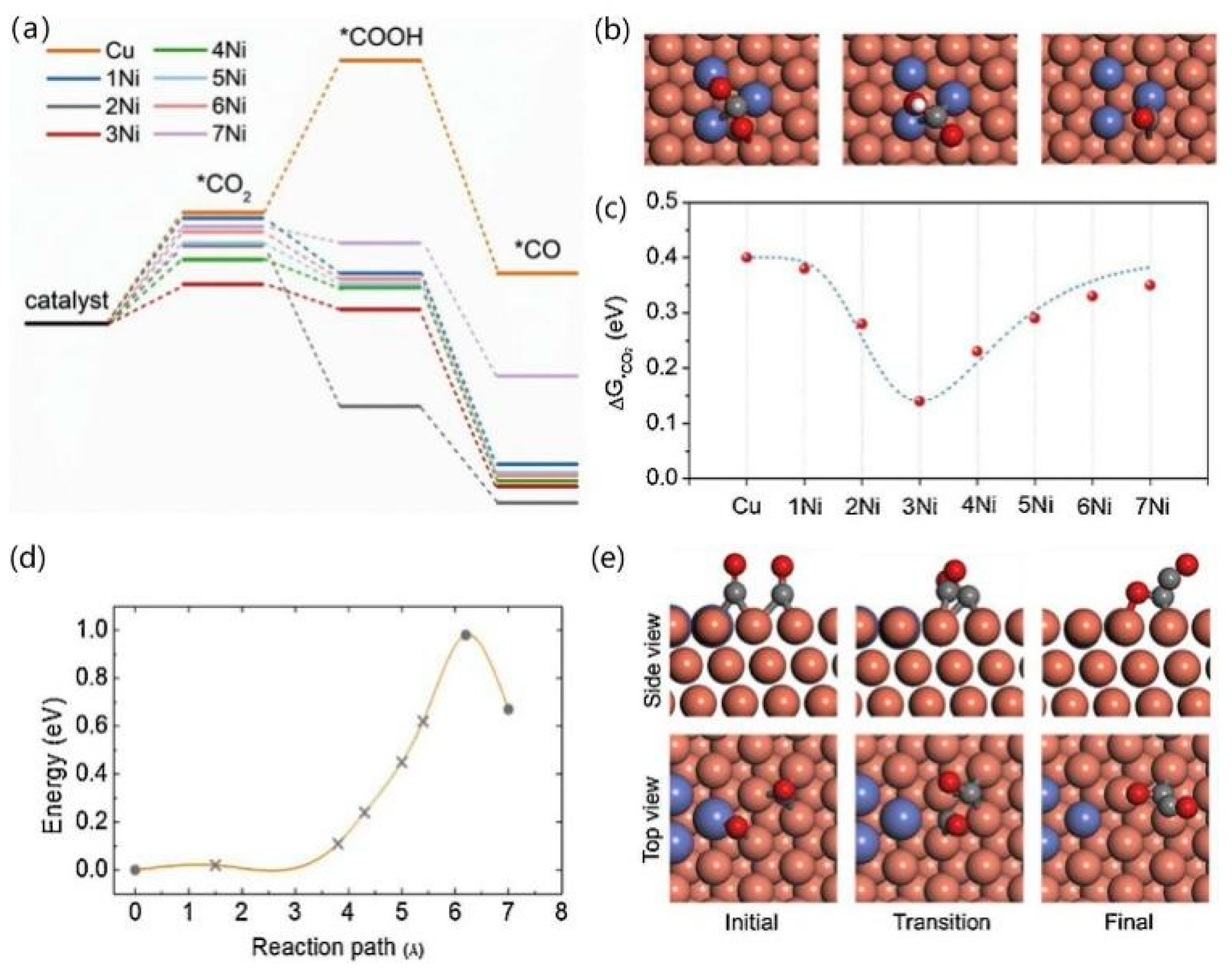 Catalysts 13 00376 g012