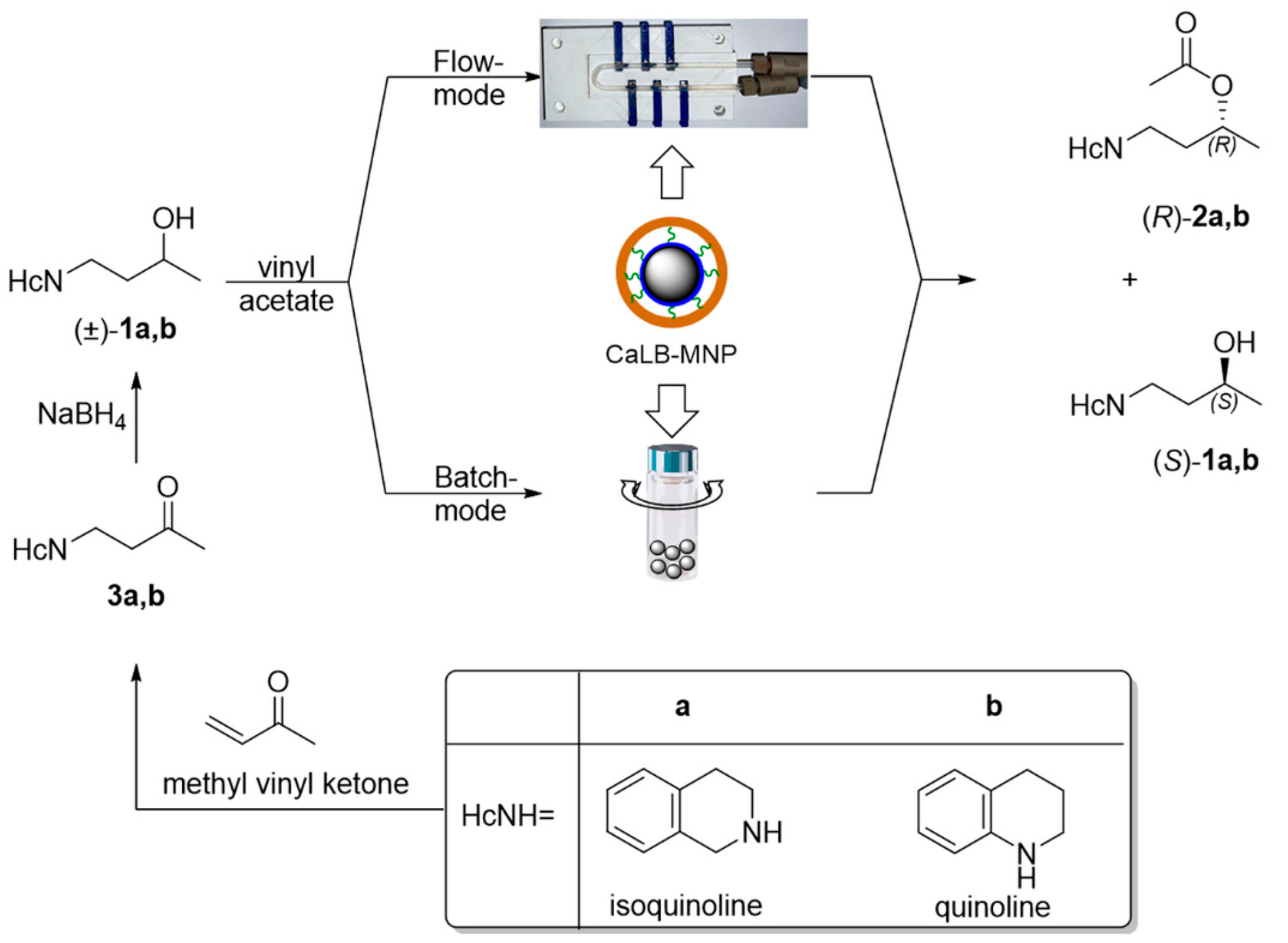 Catalysts 13 00384 sch001 Catalysts 13 00384 sch001