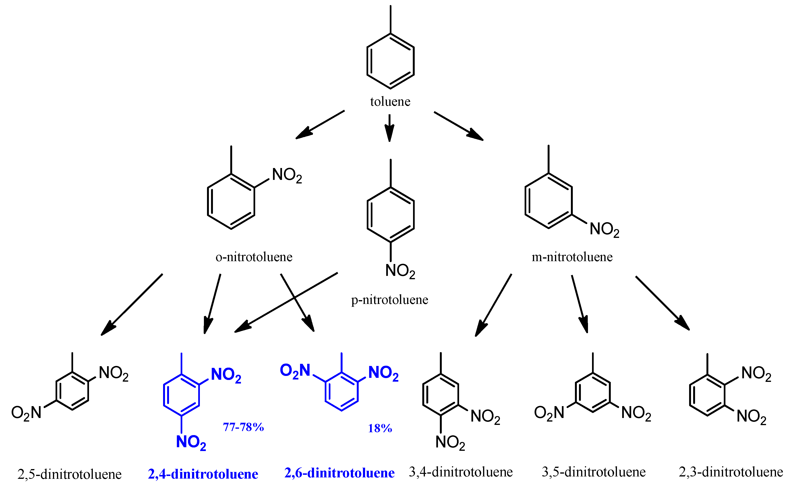 Catalysts 13 00387 g002