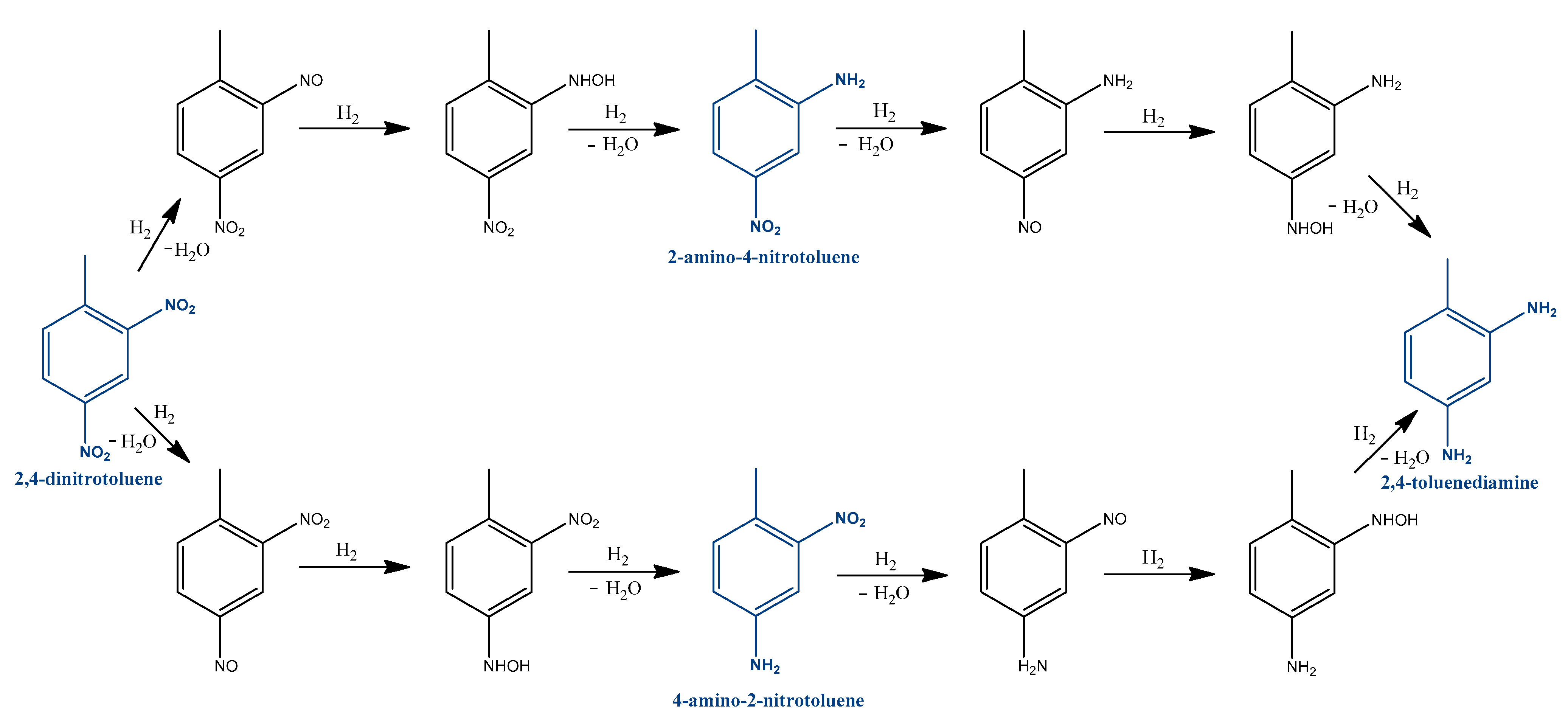 Catalysts 13 00387 g005