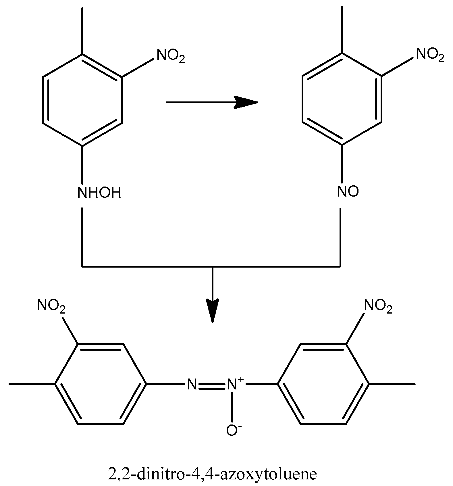 Catalysts 13 00387 g006