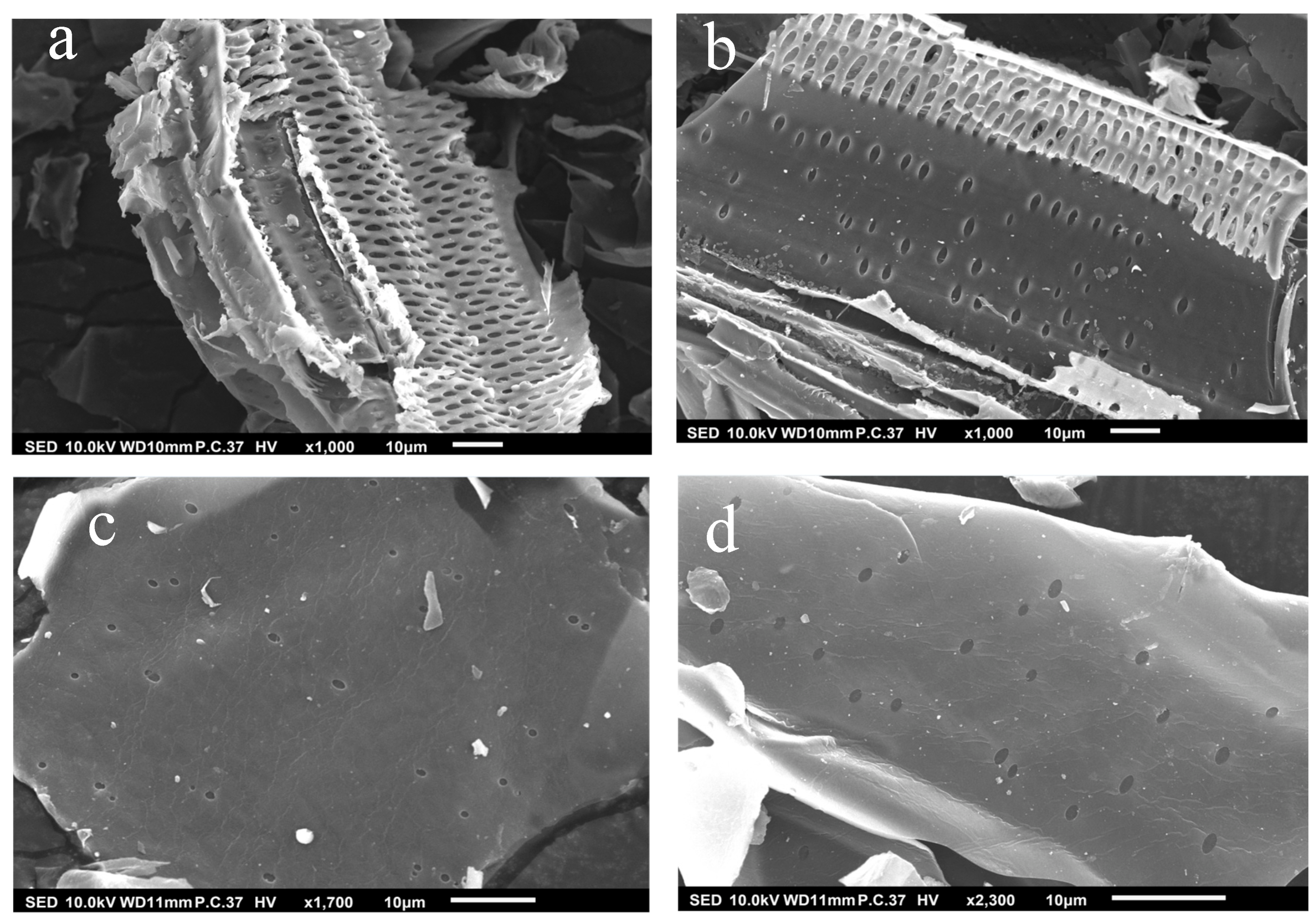 Catalysts 13 00388 g002