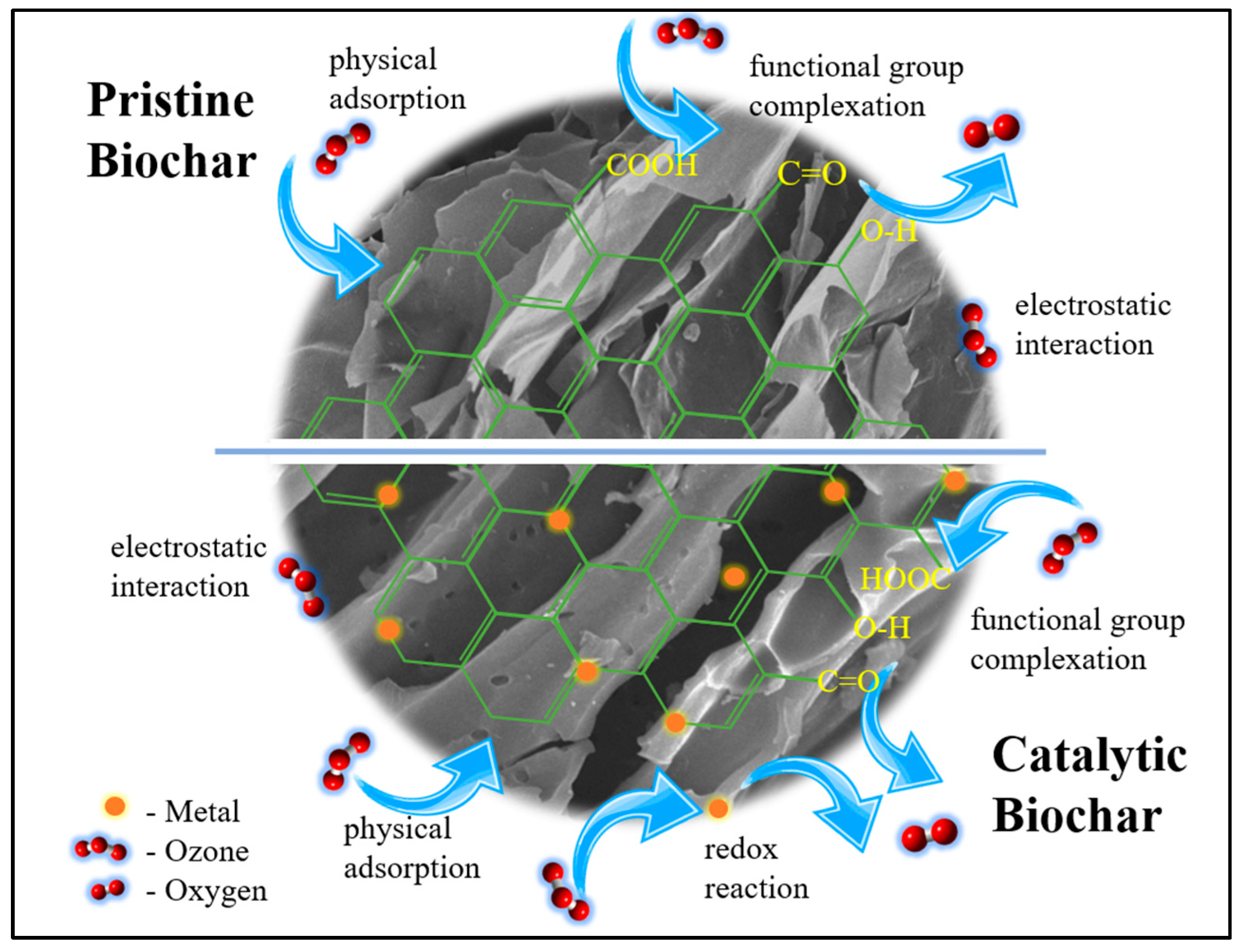 Catalysts 13 00388 g008