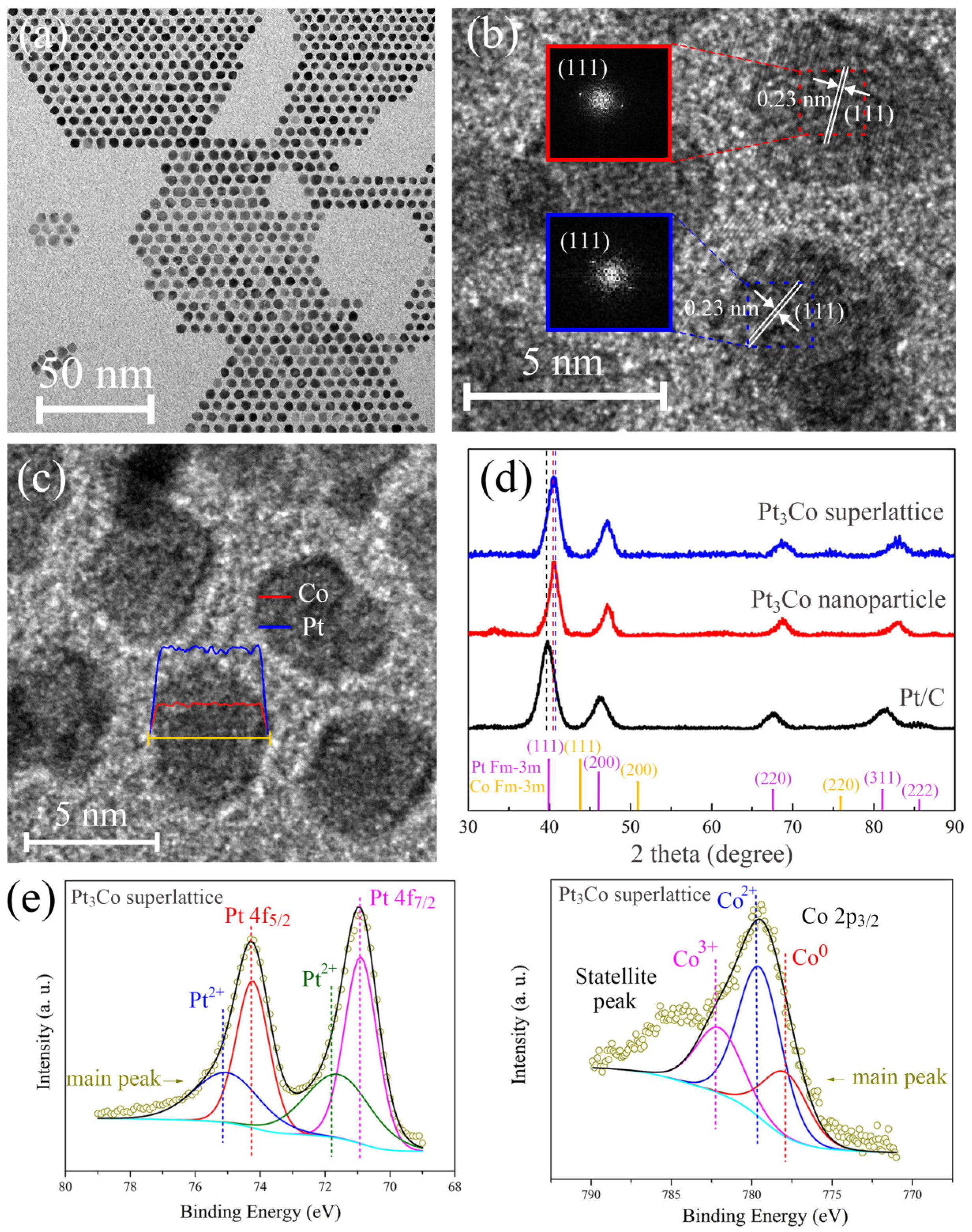 Catalysts 13 00406 g001