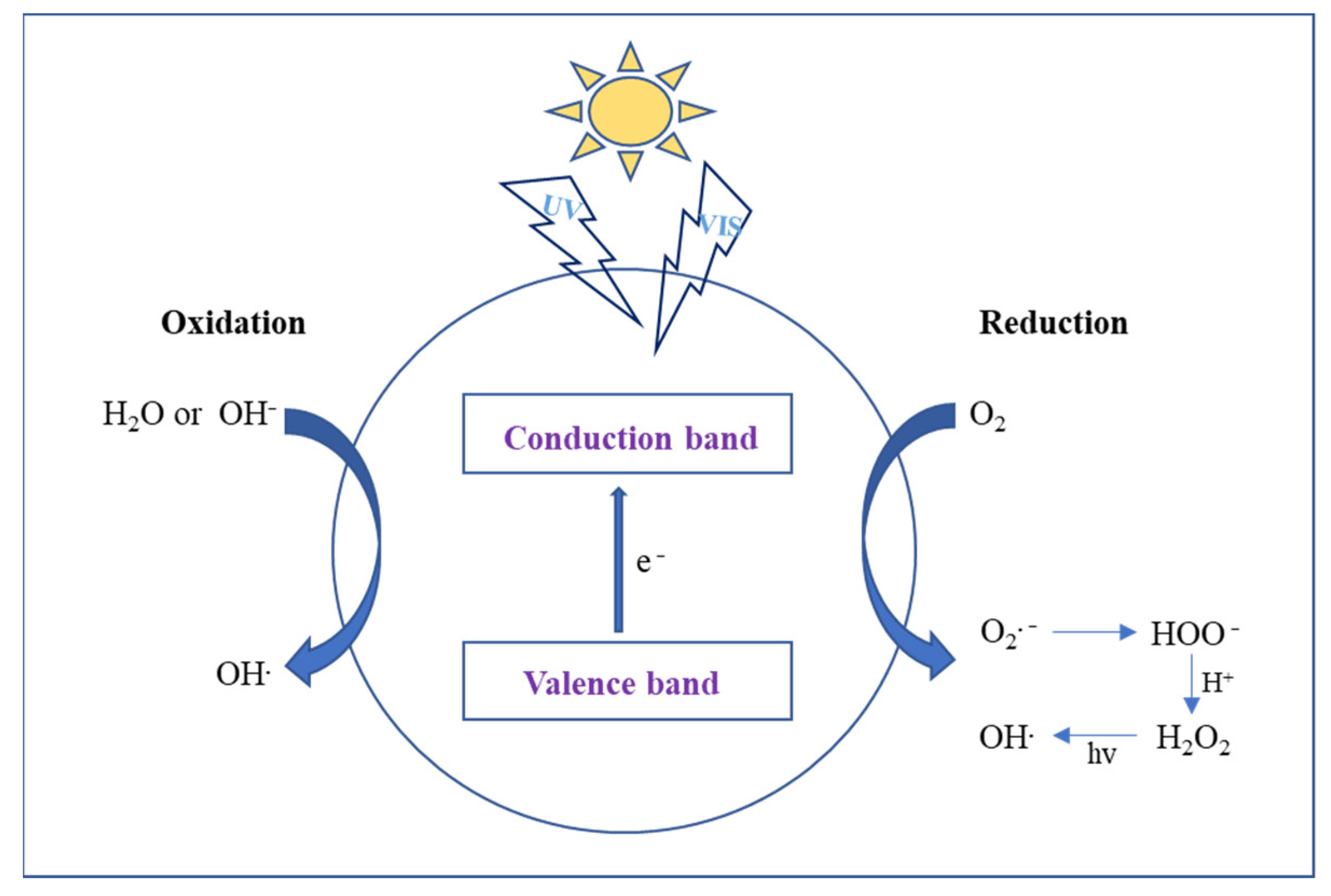 Catalysts 13 00407 g001