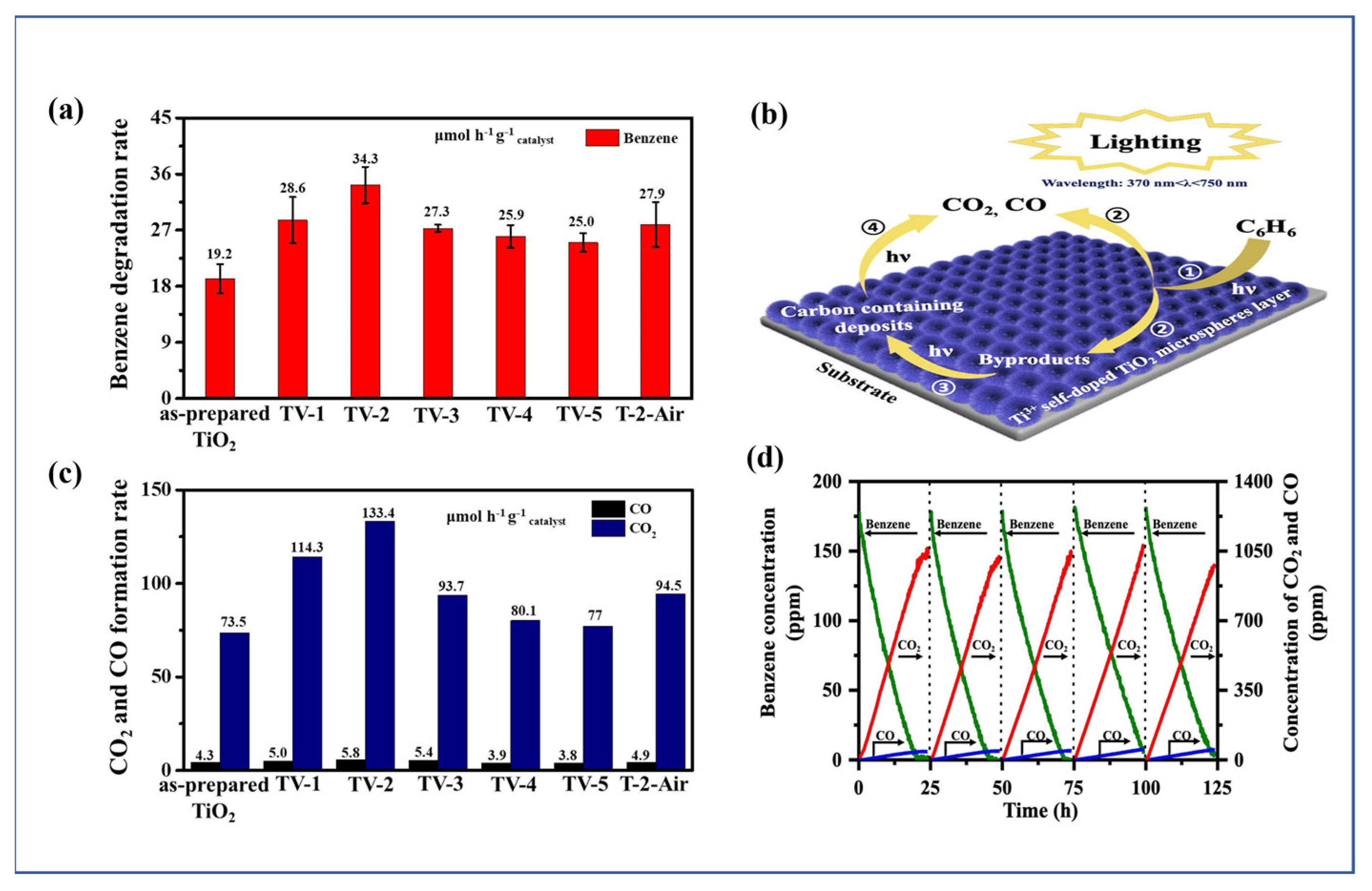 Catalysts 13 00407 g005