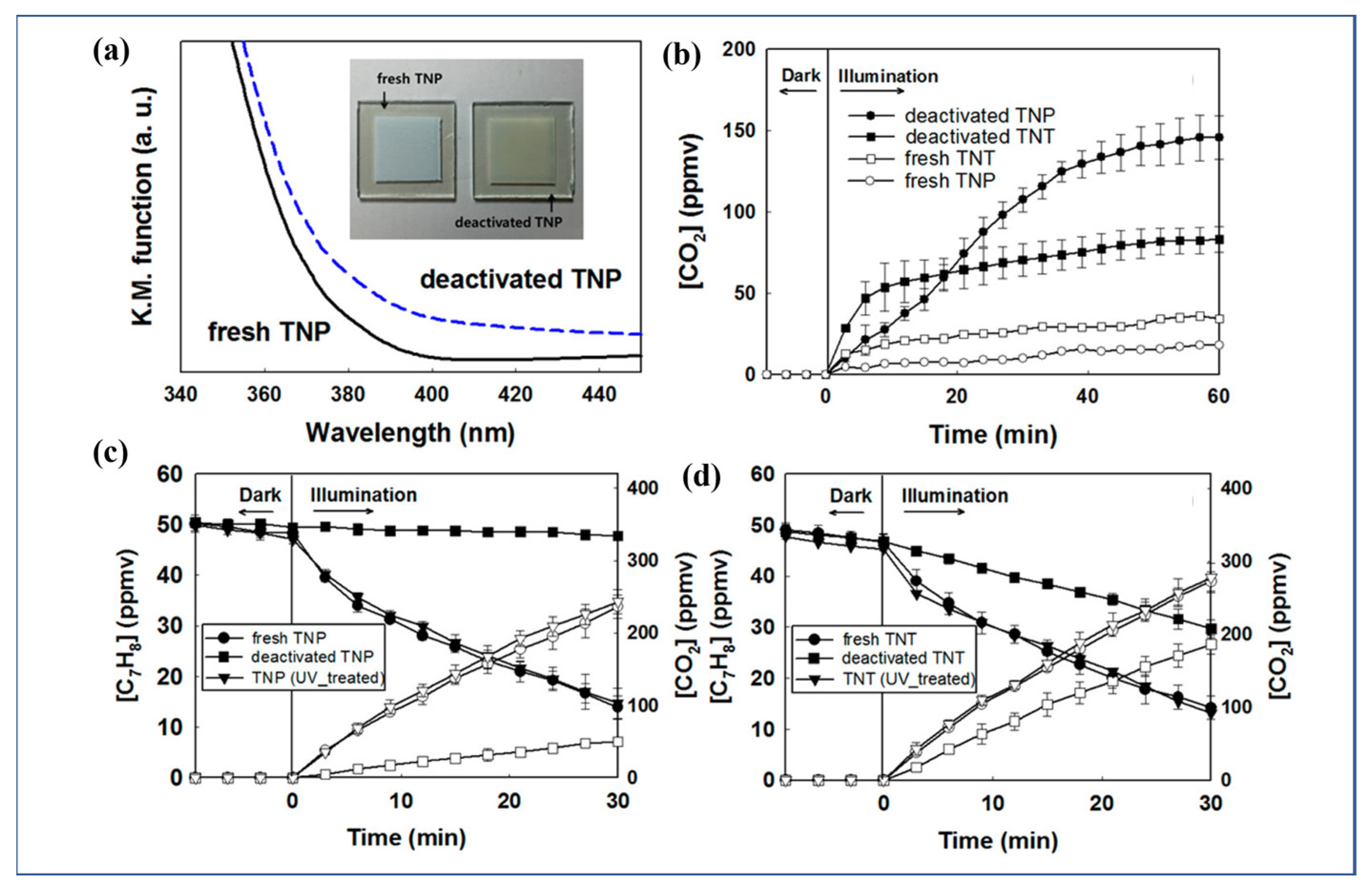 Catalysts 13 00407 g008