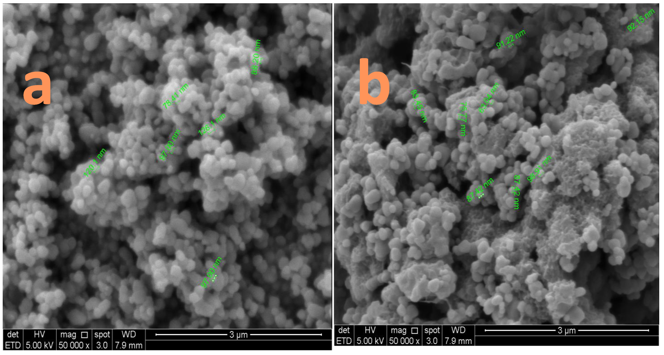 Catalysts 13 00409 g001