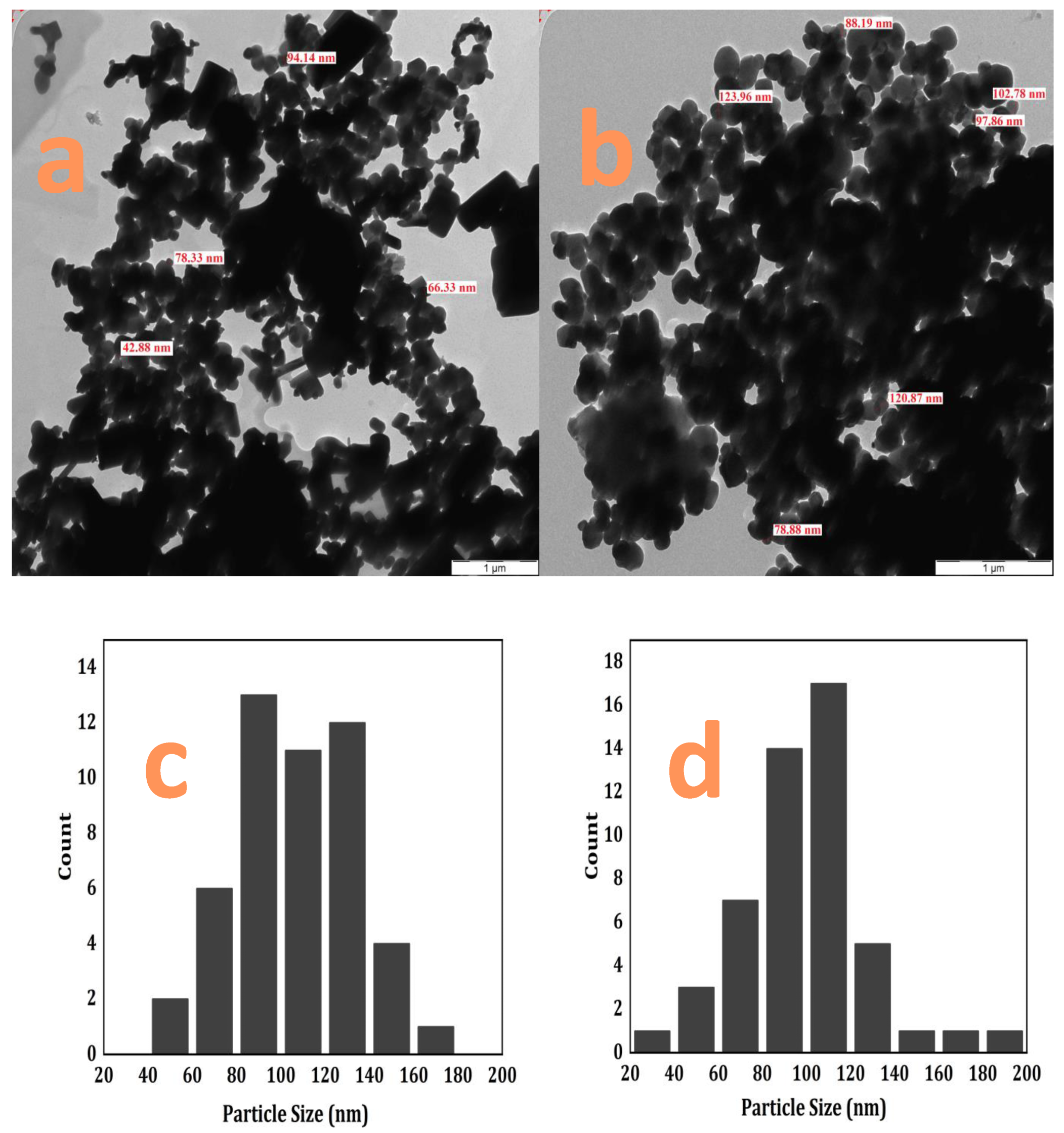Catalysts 13 00409 g002