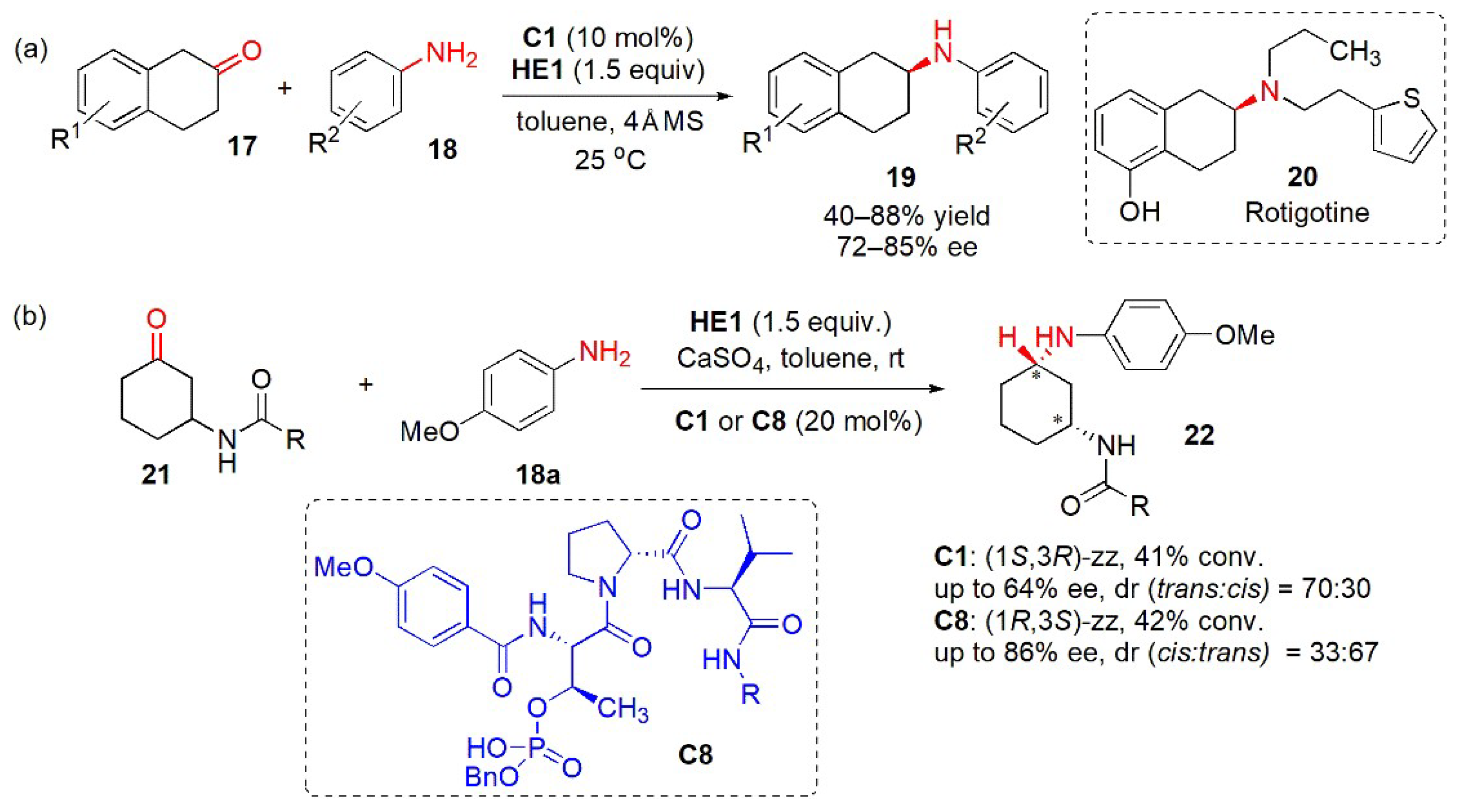 Catalysts 13 00419 g011