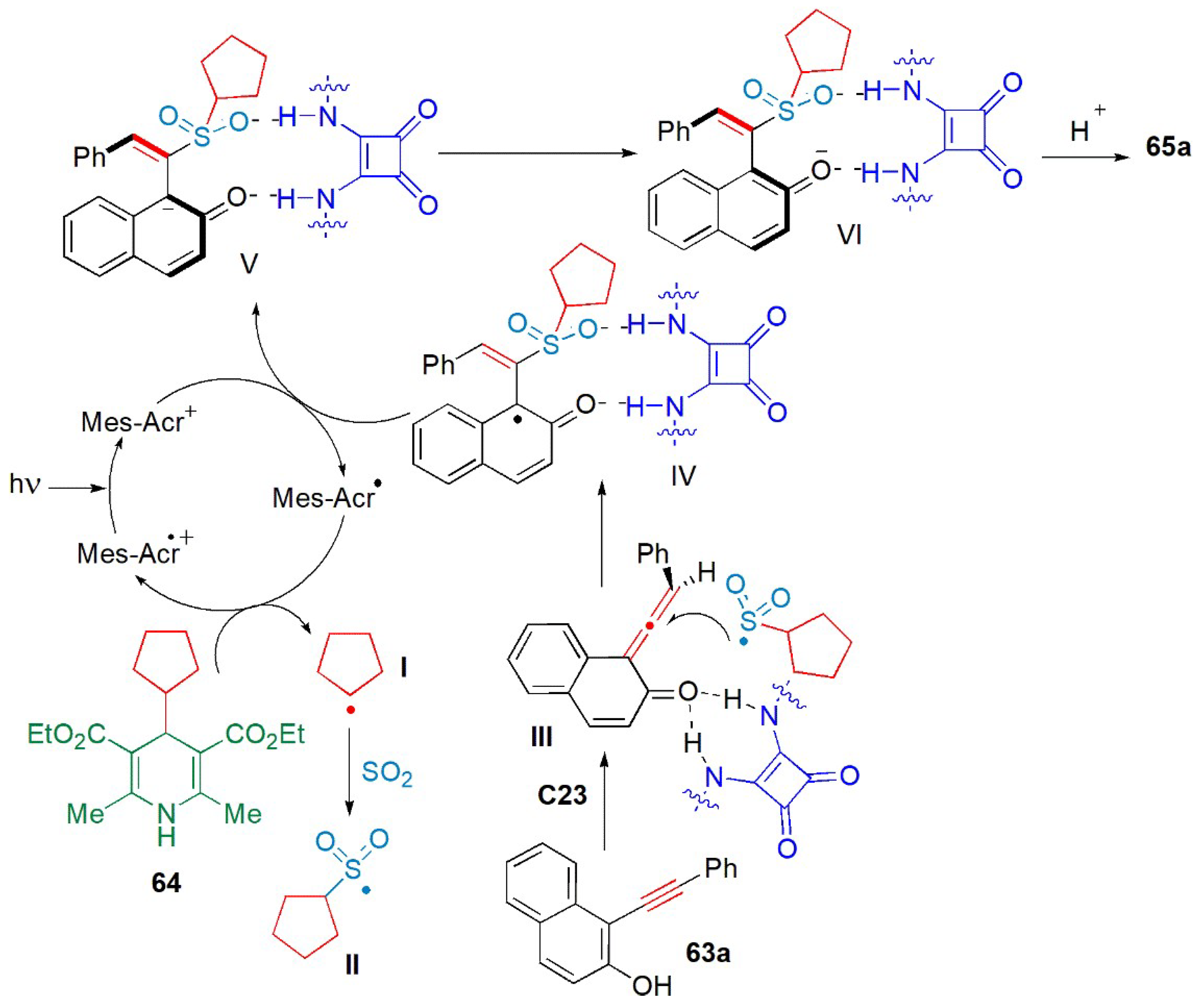 Catalysts 13 00419 g025