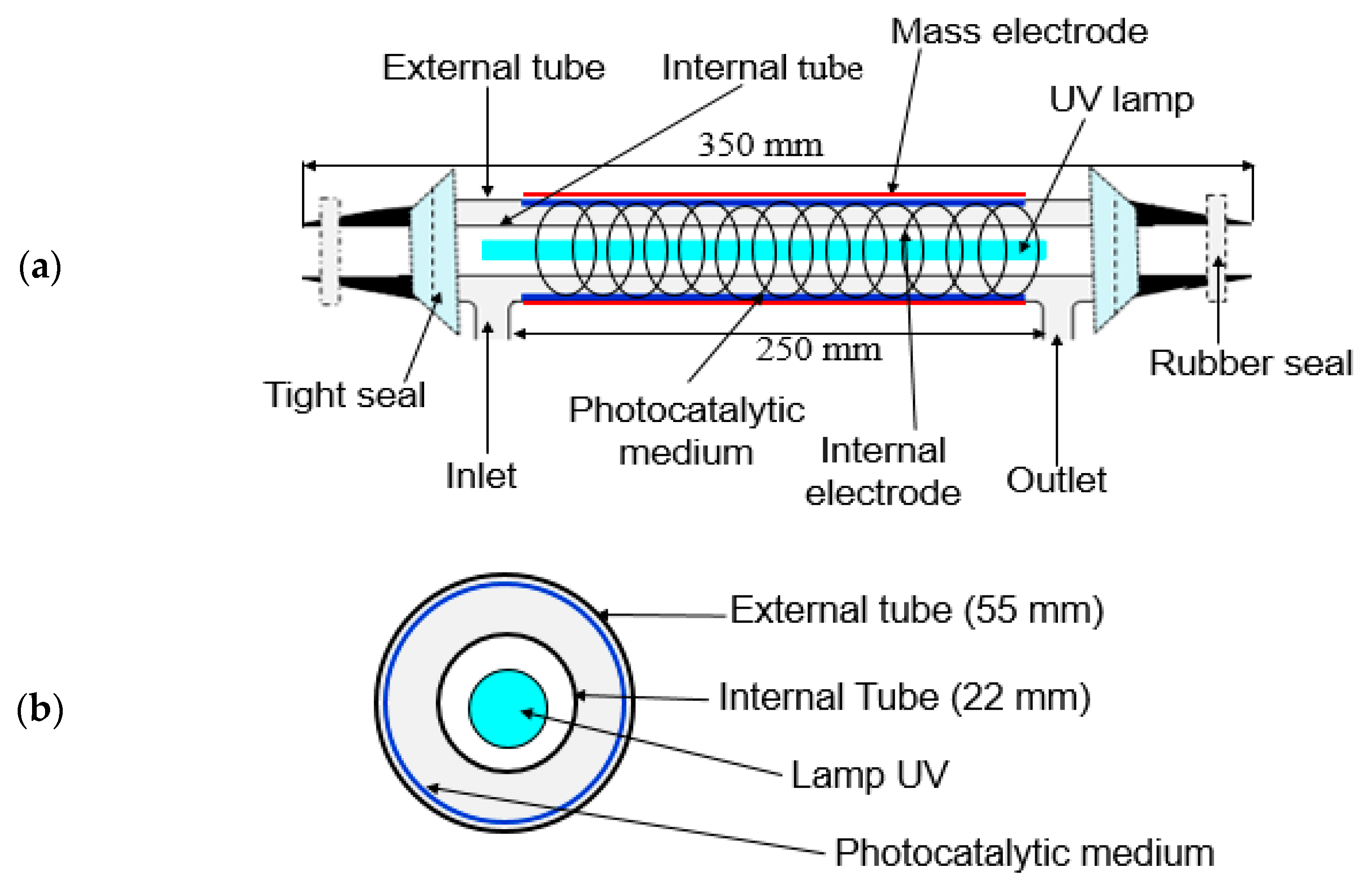 Catalysts 13 00431 g007