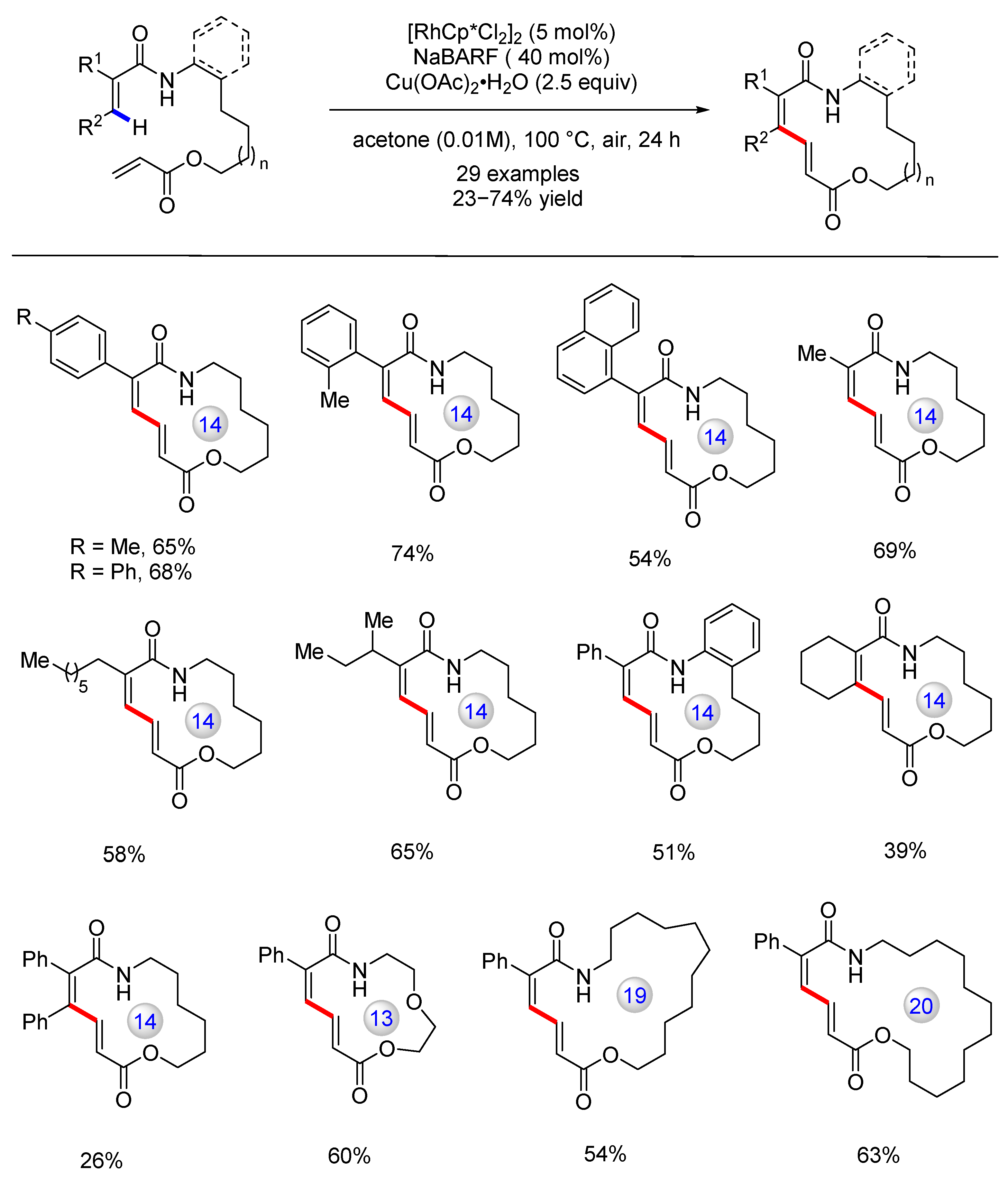 Catalysts 13 00438 g003