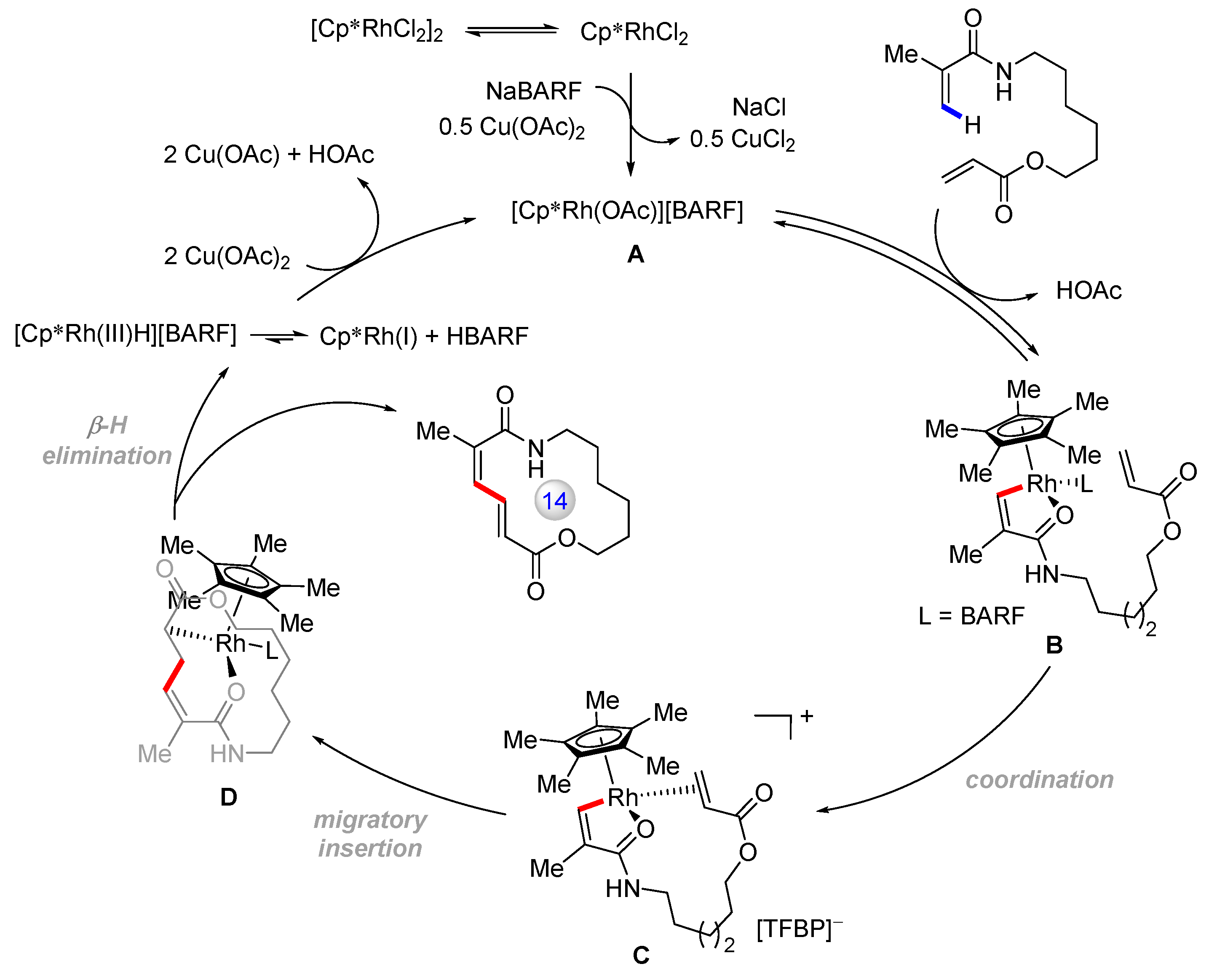 Catalysts 13 00438 g004