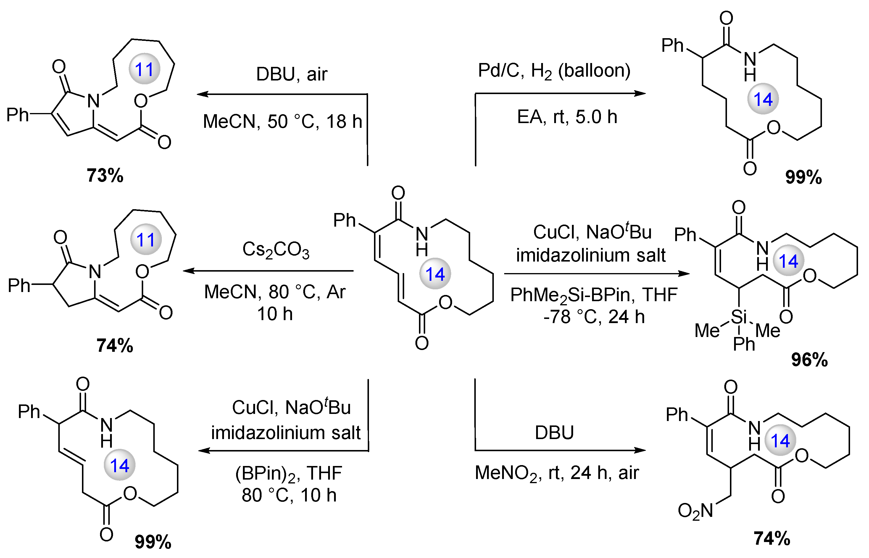 Catalysts 13 00438 g005