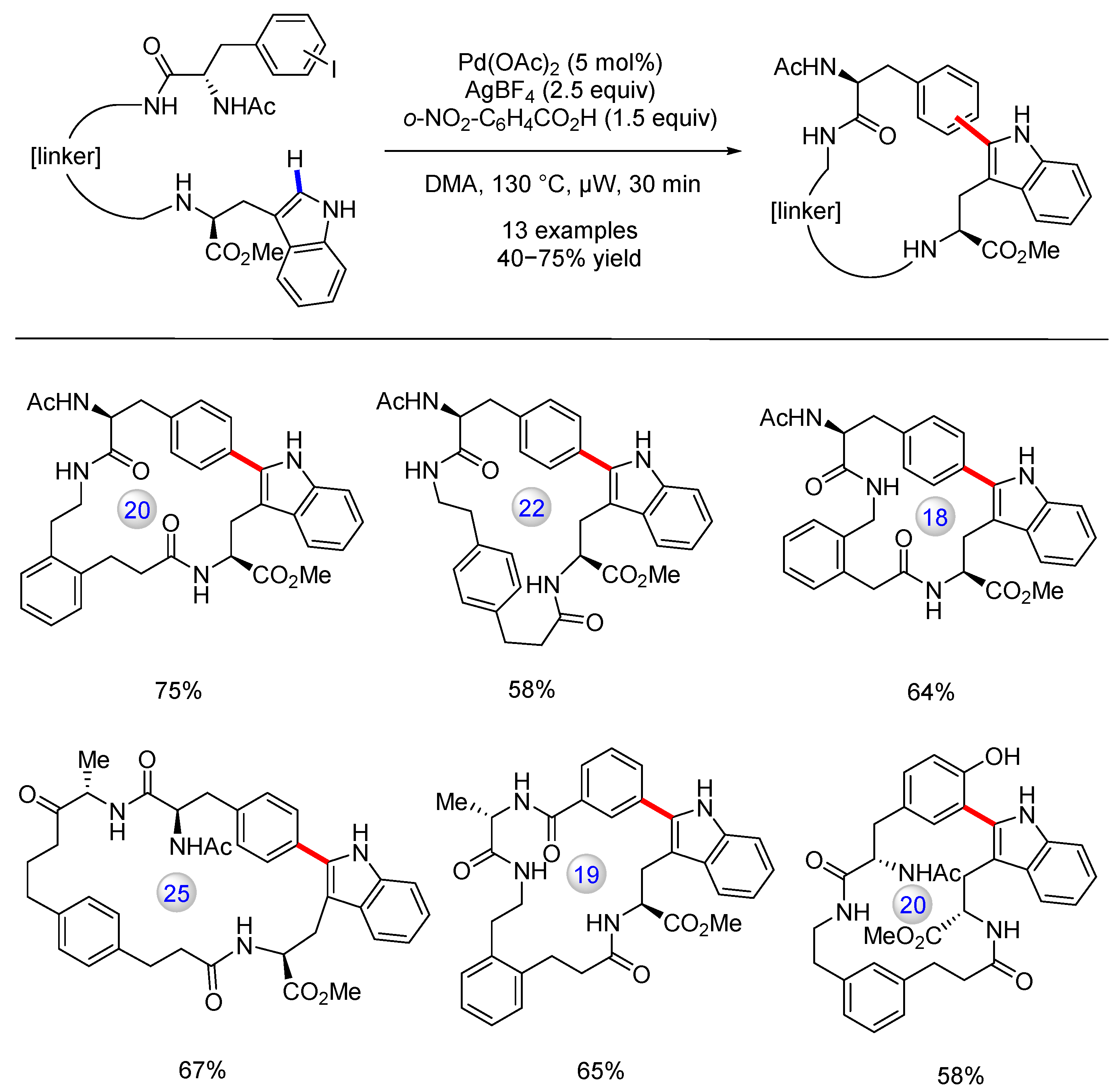 Catalysts 13 00438 g007