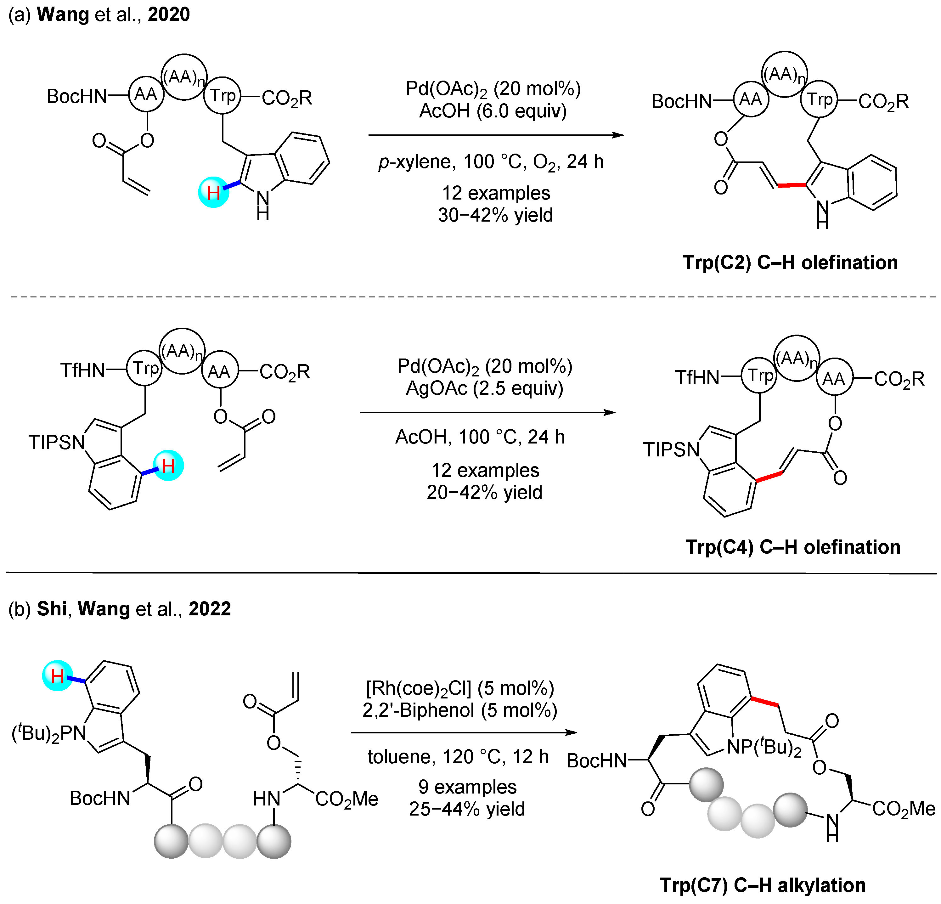 Catalysts 13 00438 g010