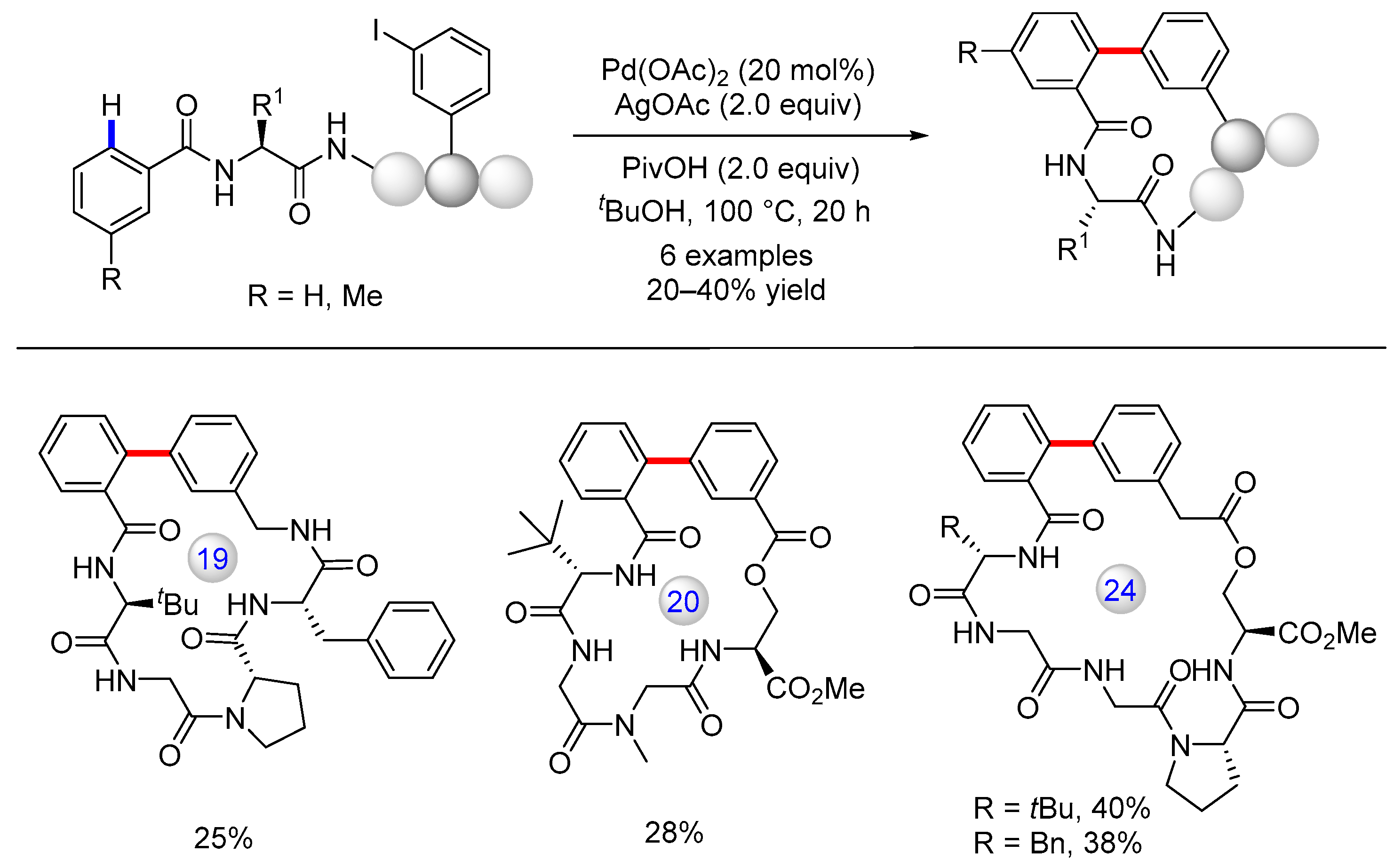 Catalysts 13 00438 g012