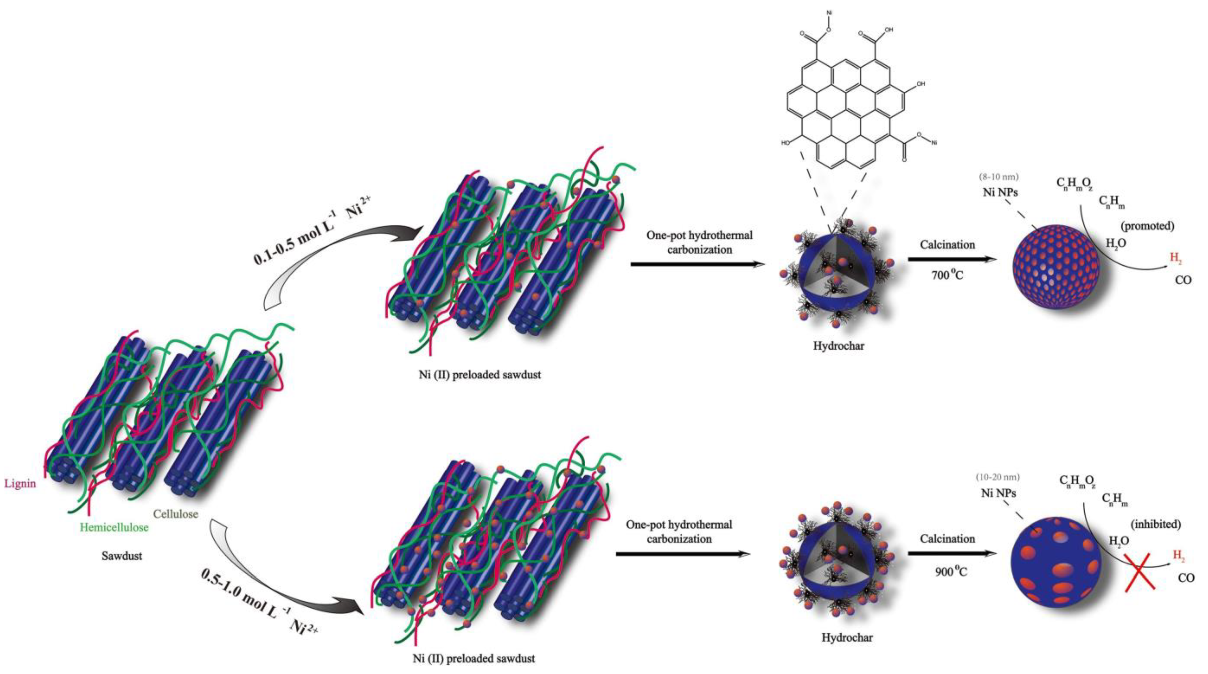 Catalysts 13 00440 g009