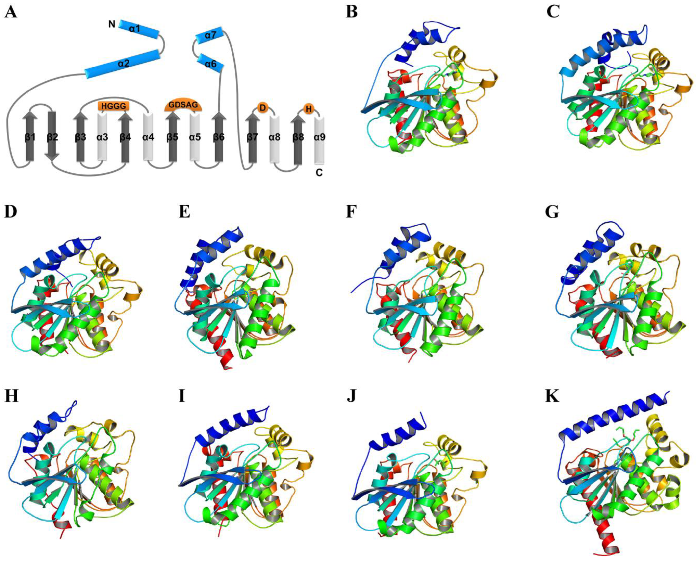 Catalysts 13 00441 g001 Catalysts 13 00441 g001