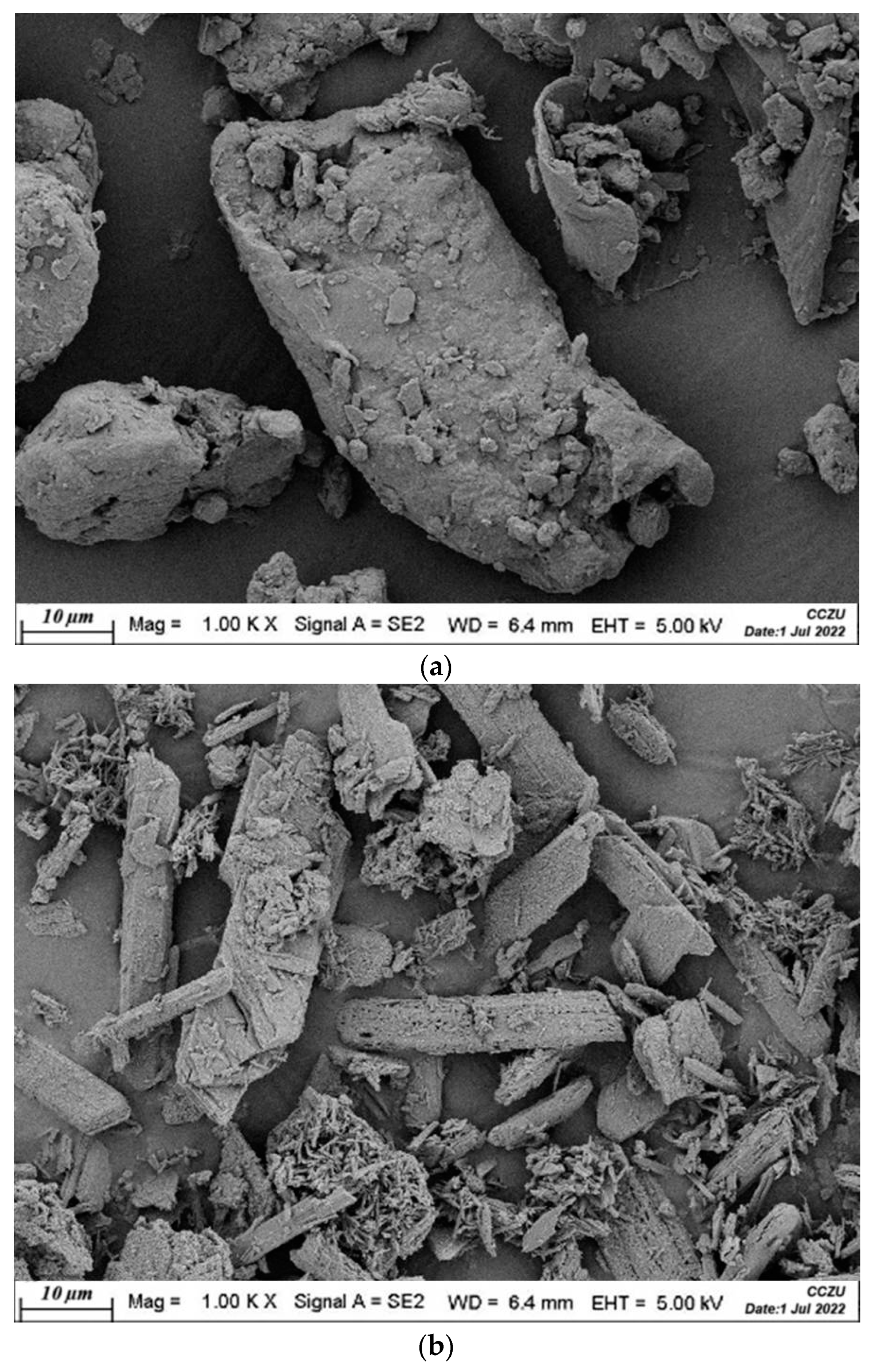 Catalysts 13 00467 g001 Catalysts 13 00467 g001