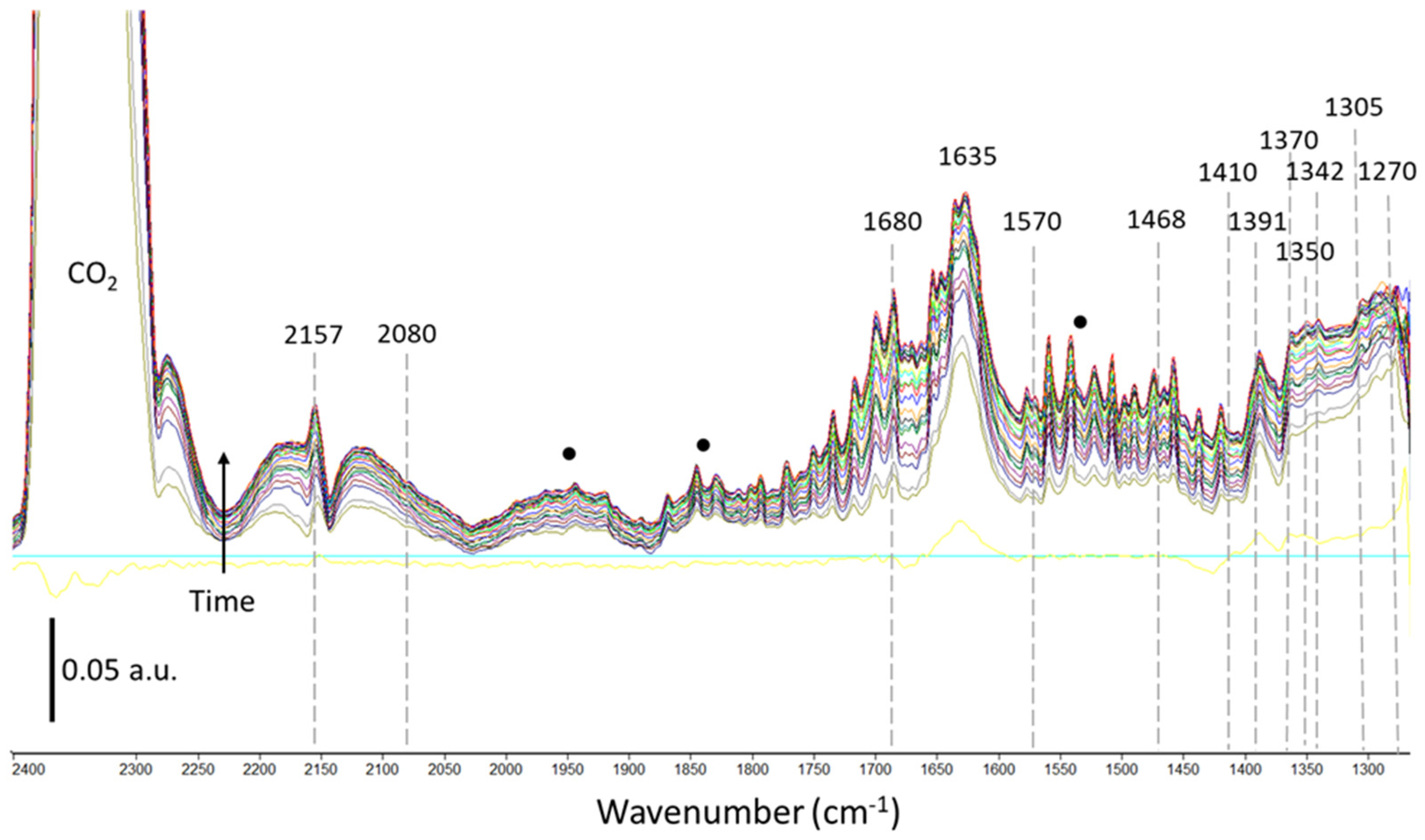 Catalysts 13 00481 g007