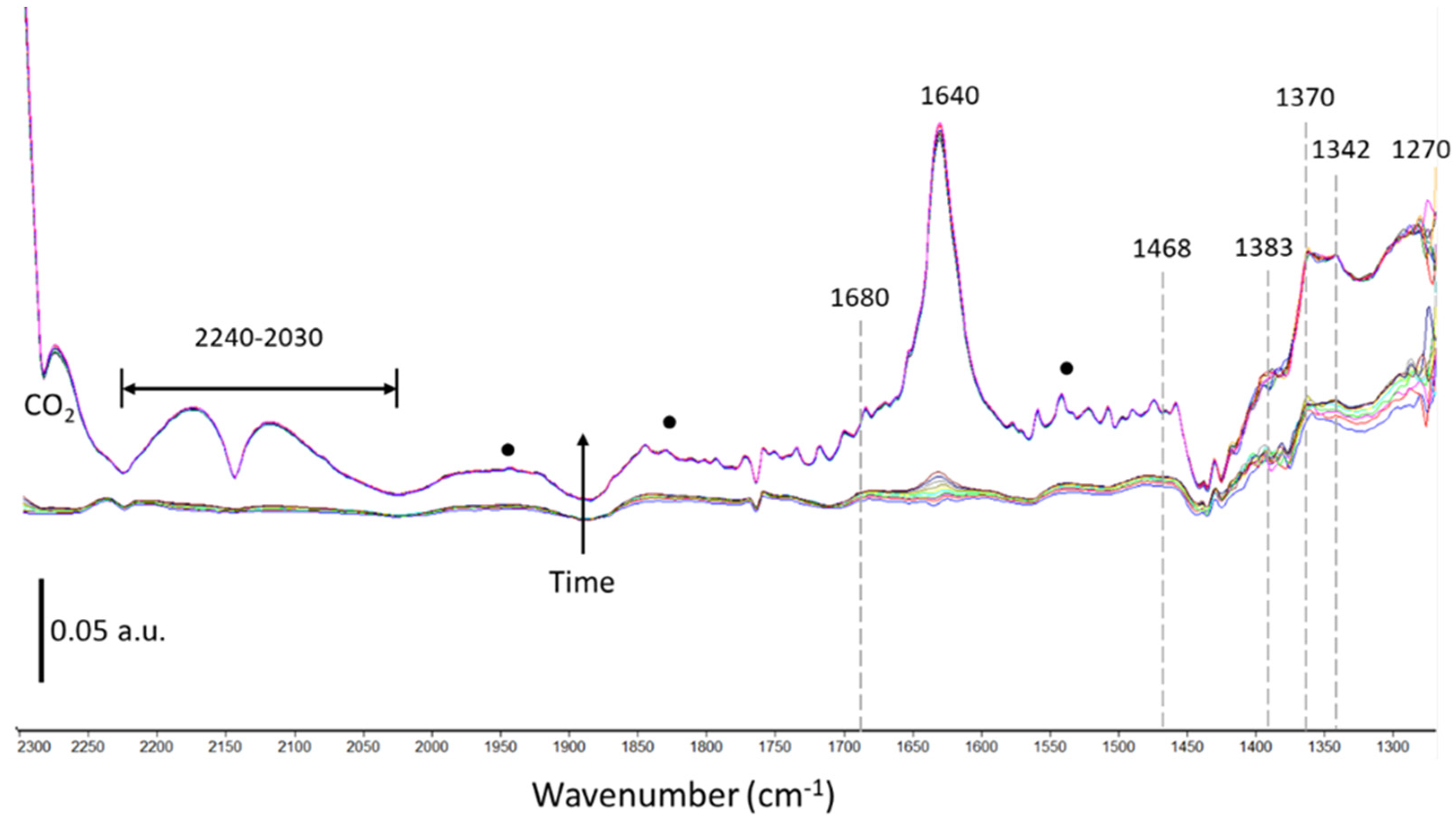 Catalysts 13 00481 g009