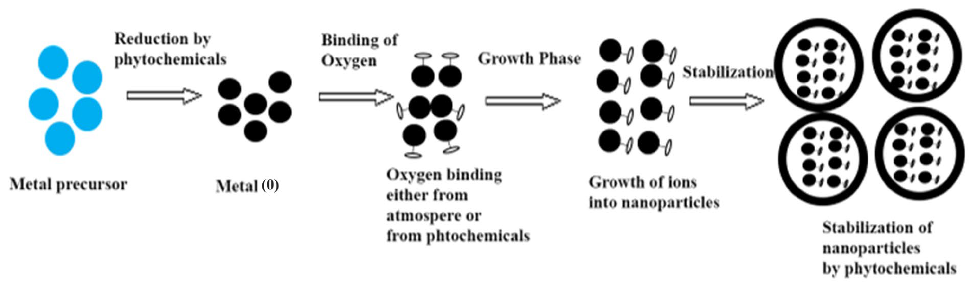 Catalysts 13 00502 g006 Catalysts 13 00502 g006