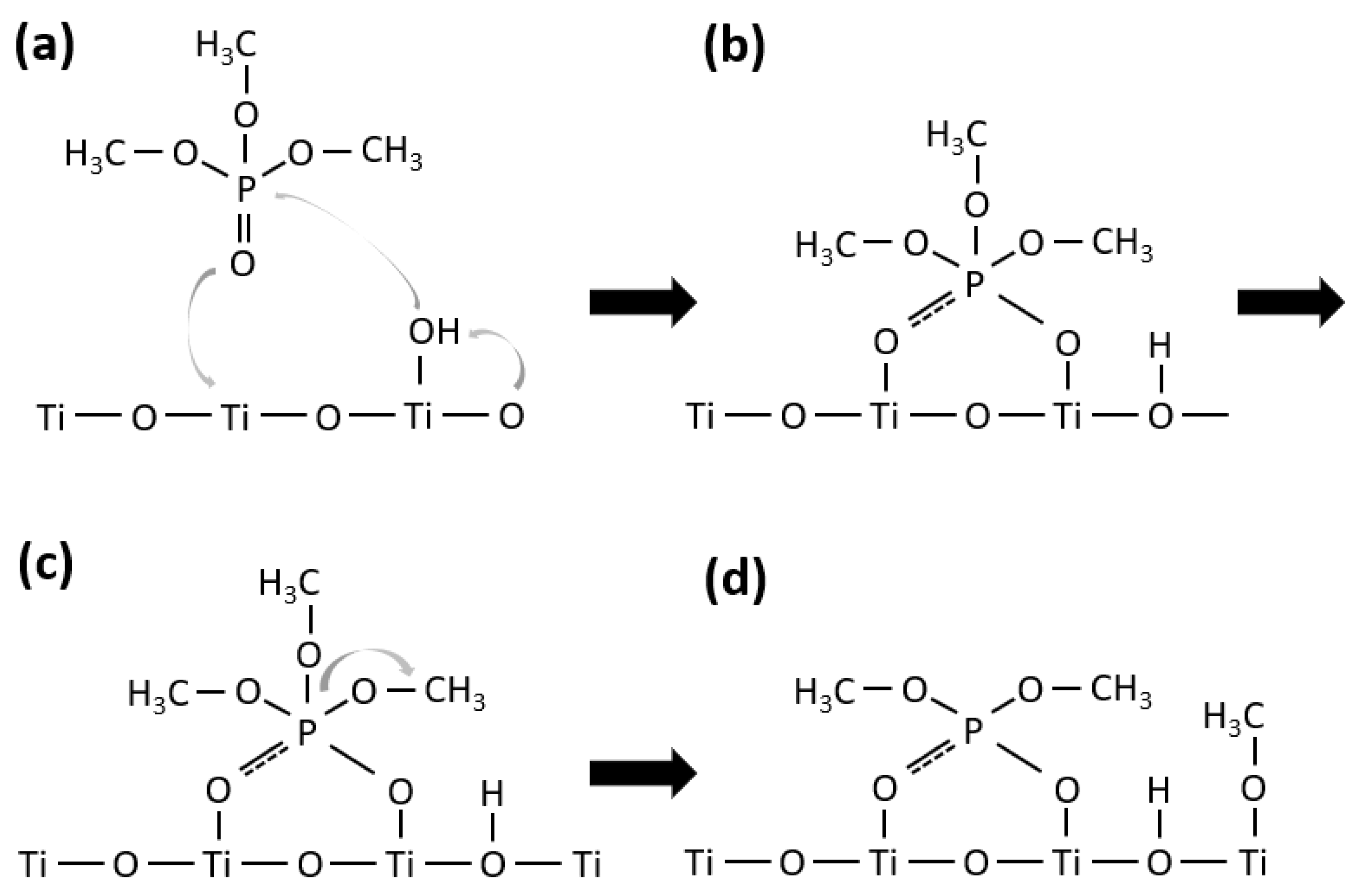 Catalysts 13 00526 sch001 Catalysts 13 00526 sch001