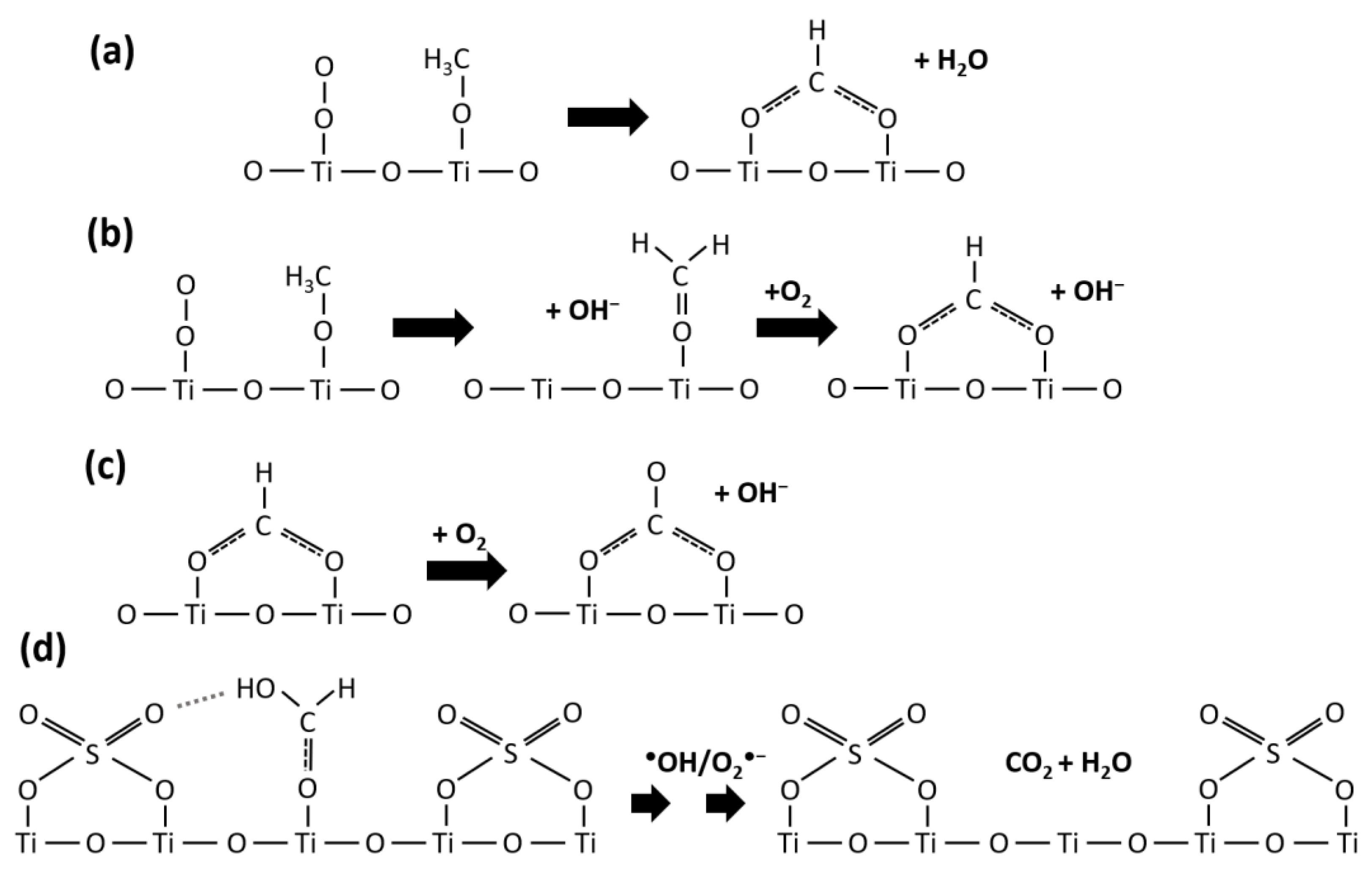 Catalysts 13 00526 sch002 Catalysts 13 00526 sch002