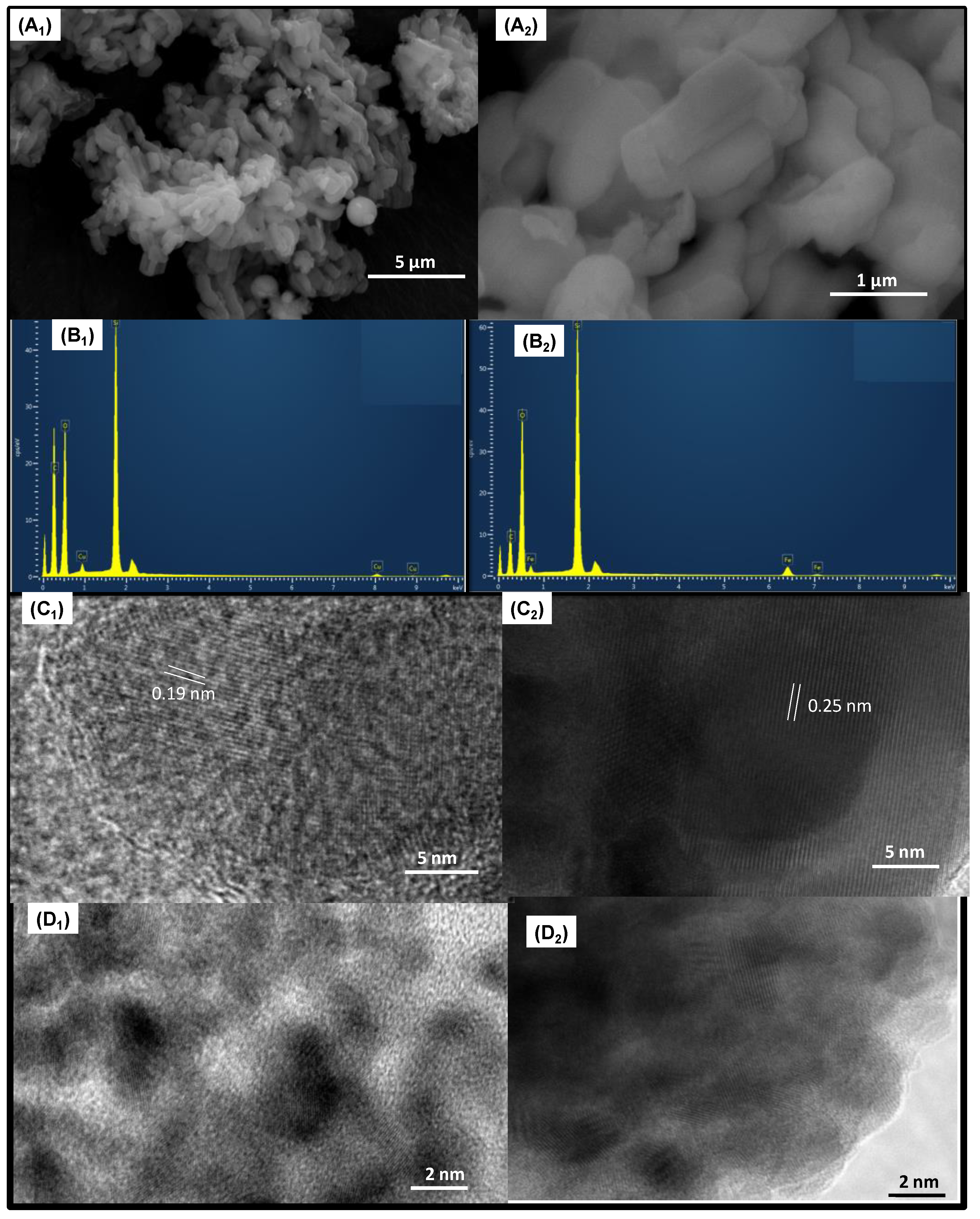 Catalysts 13 00527 g002