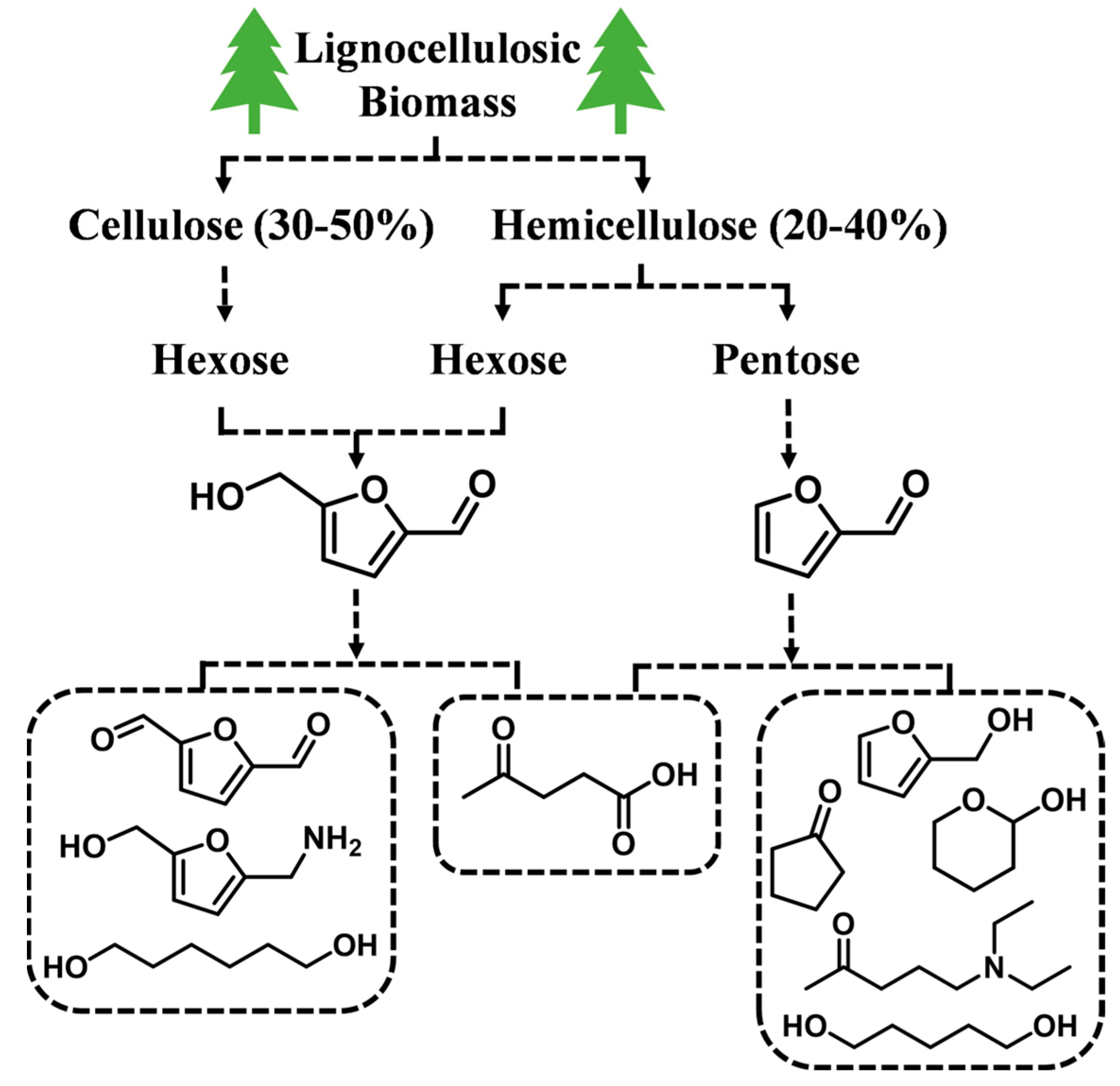 Catalysts 13 00528 g001