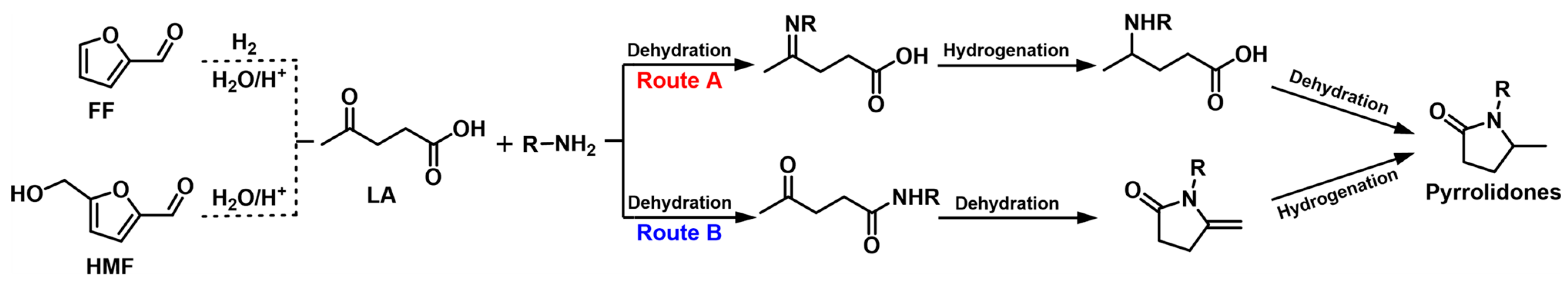Catalysts 13 00528 g008